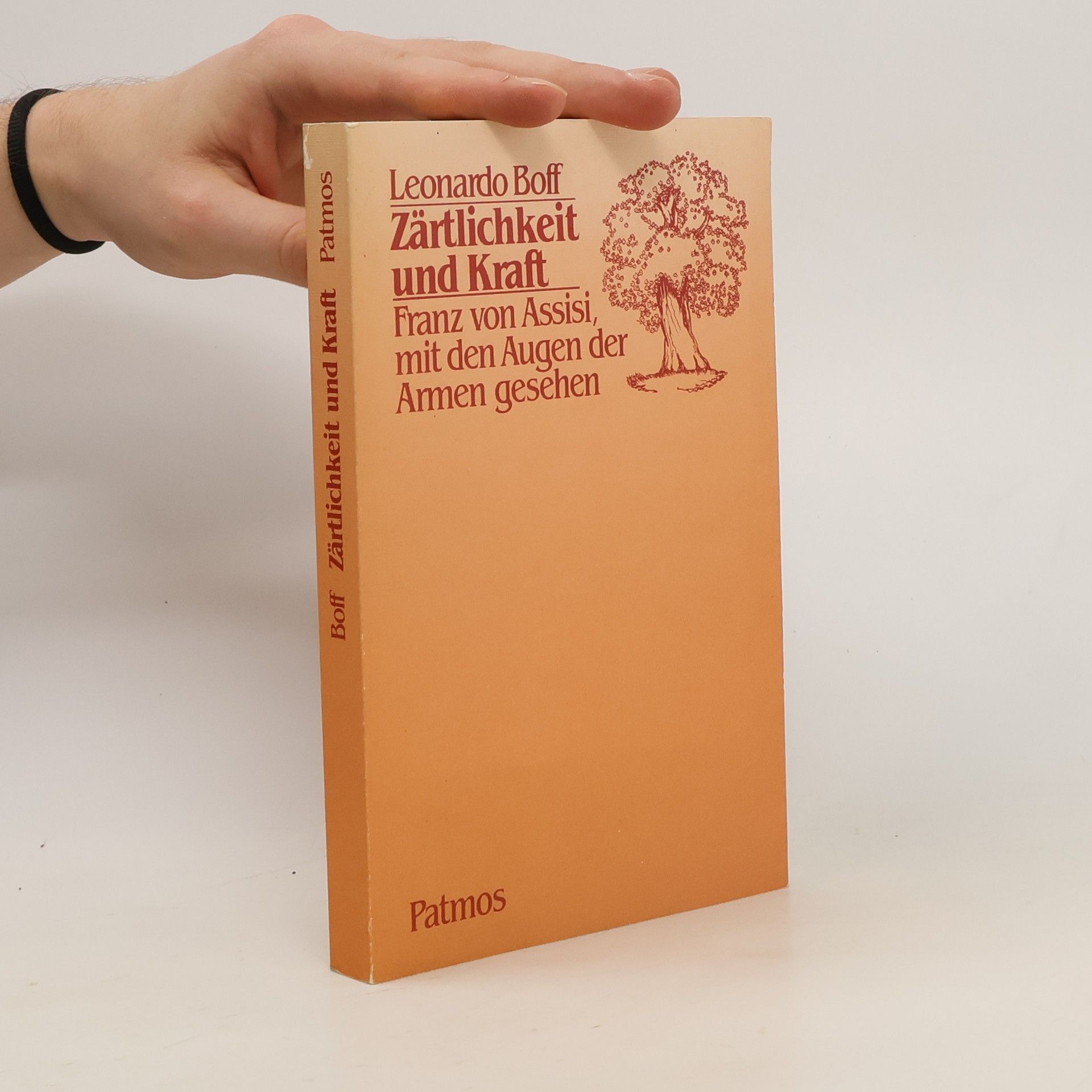 Leonardo Boff Zärtlichkeit und Kraft