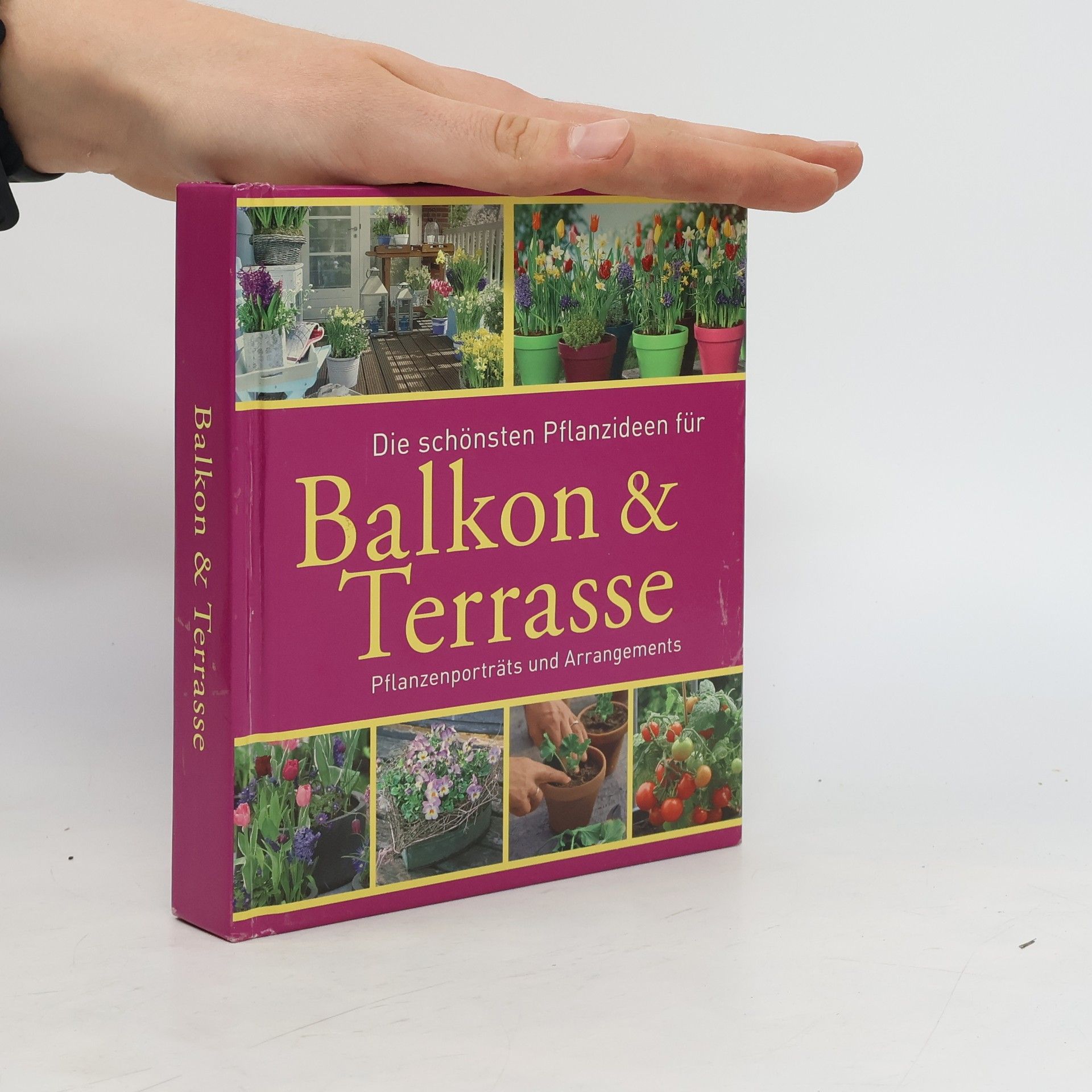 Bross-Burkhardt Brunhilde Und Christine Weidenweber Die schönsten Pflanzideen für Balkon & Terrasse Pflanzenporträts und Arrangements