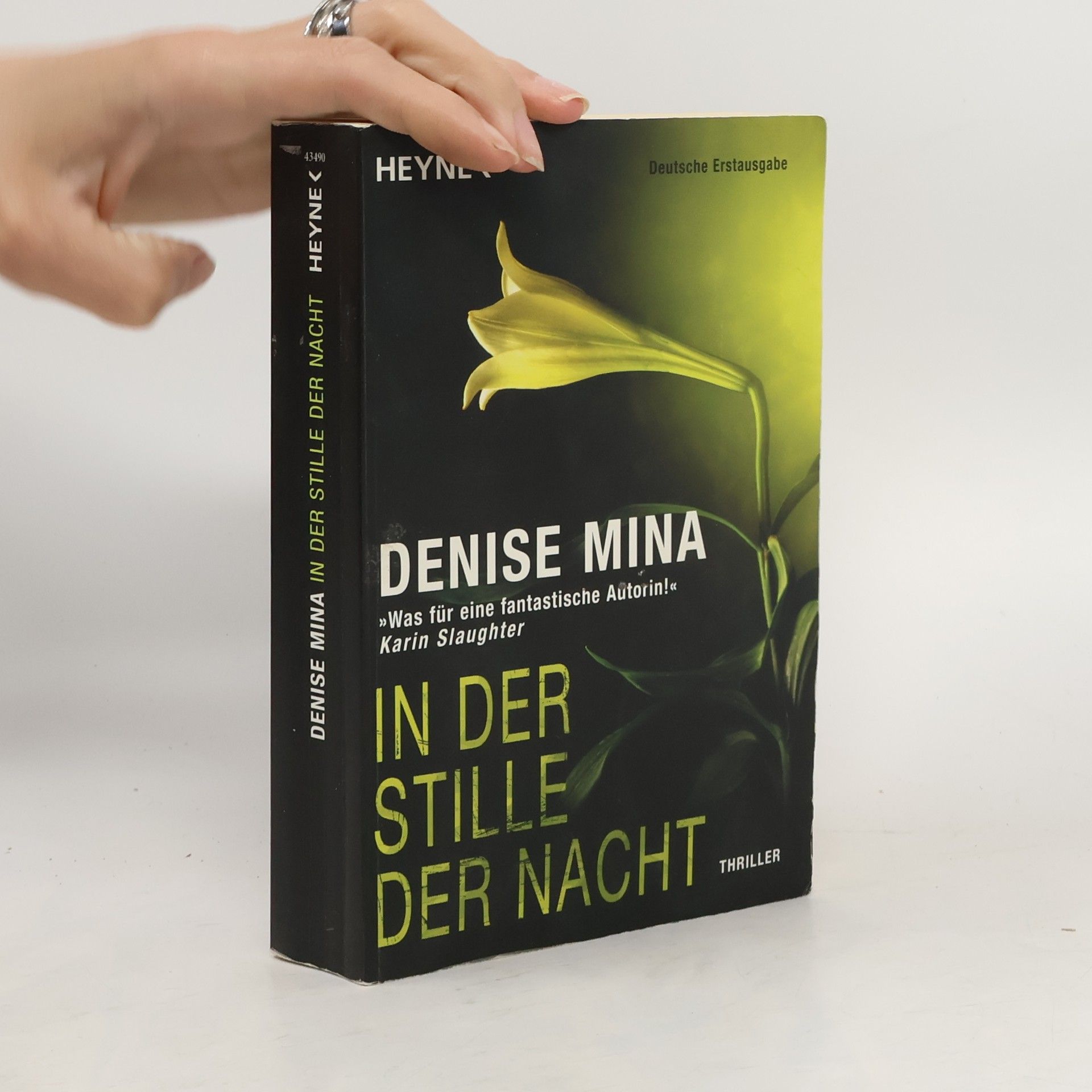 Denise Mina In der Stille der Nacht