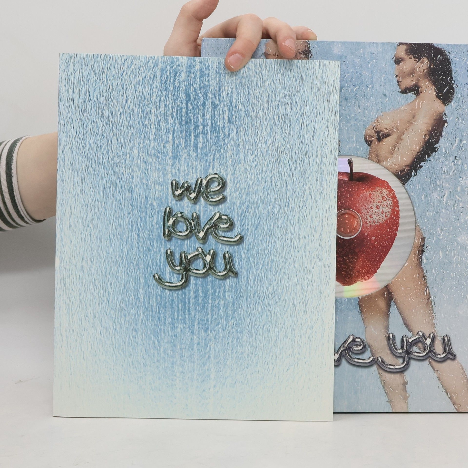 Ambassadors We Love You