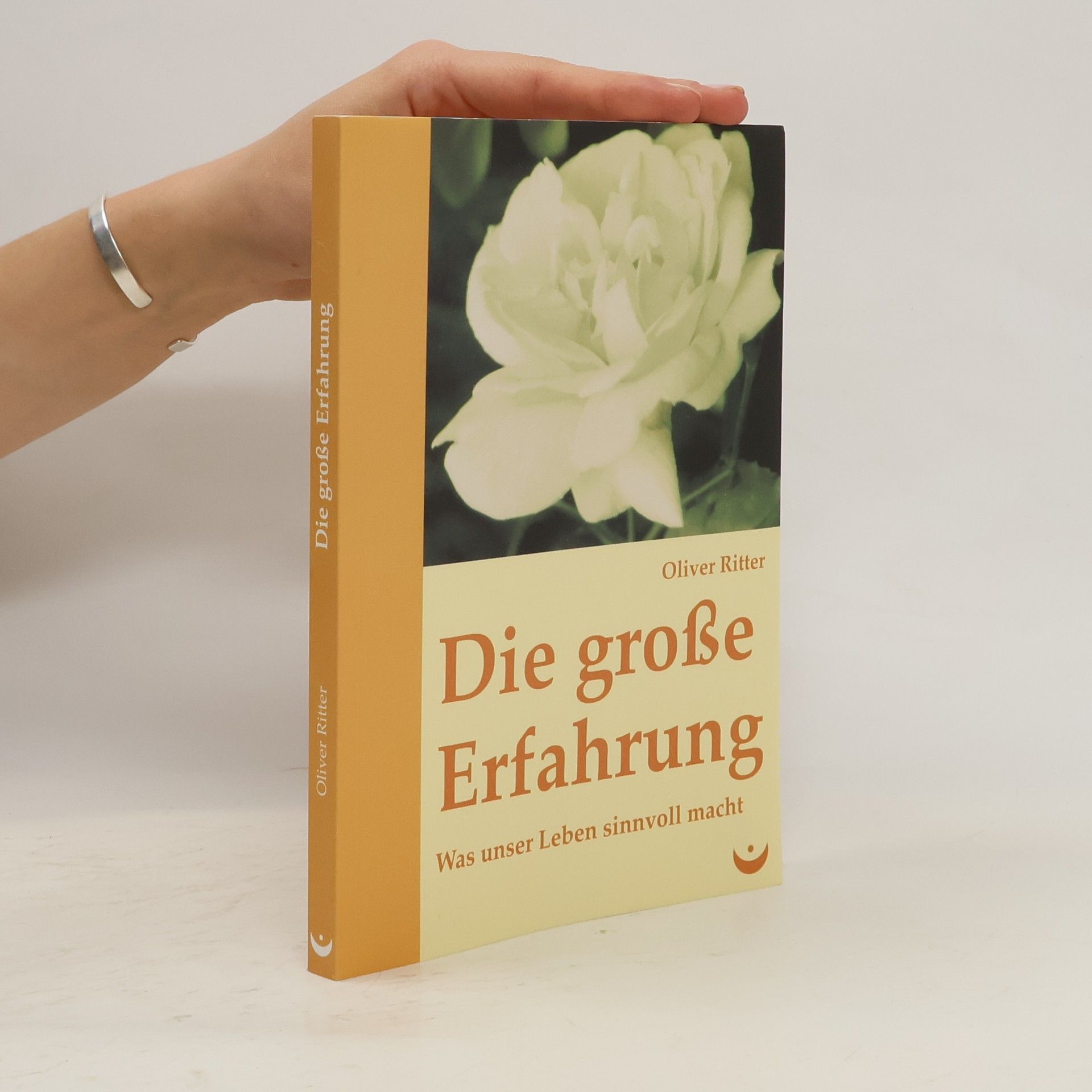 Oliver Ritter Die große Erfahrung
