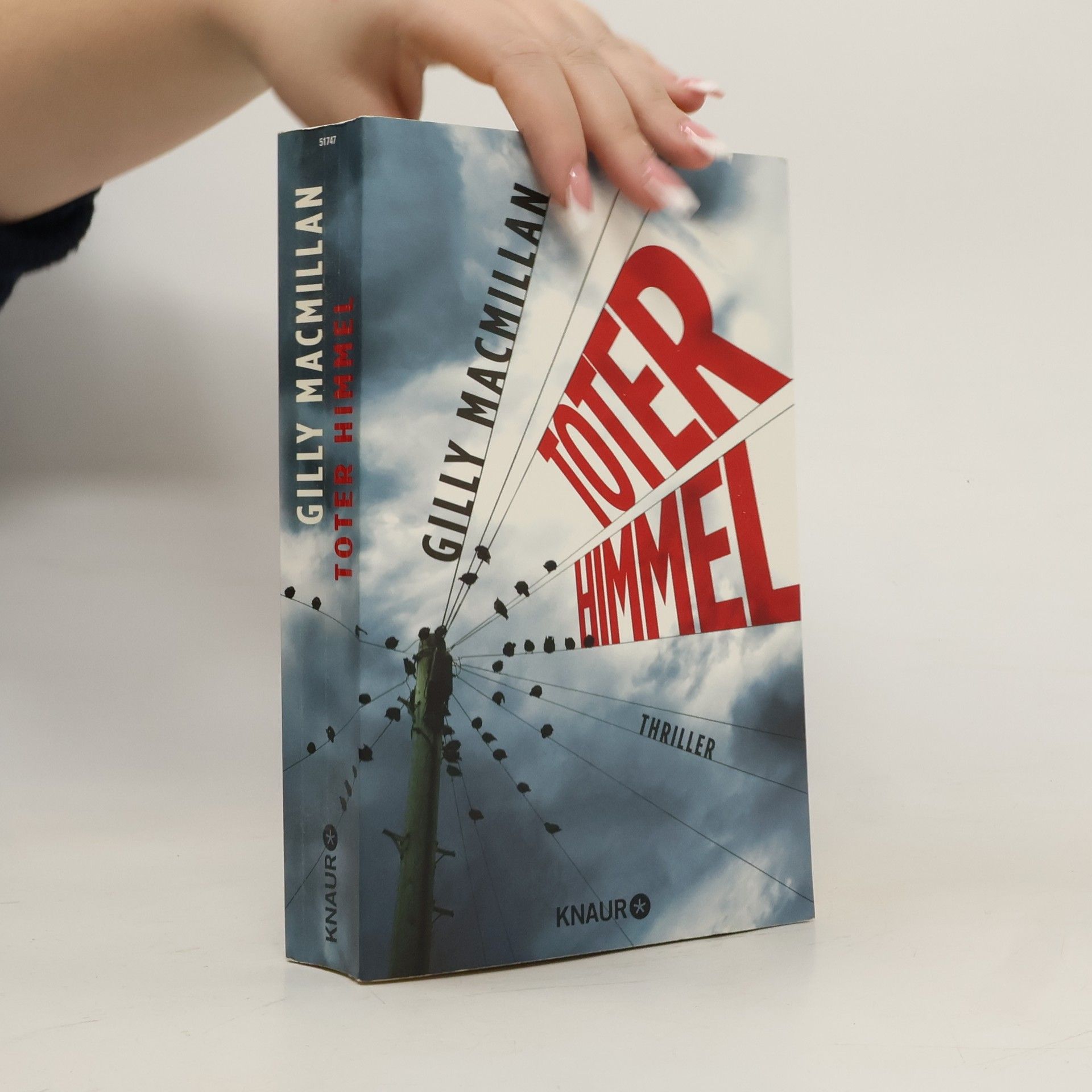 Gilly Macmillan Toter Himmel
