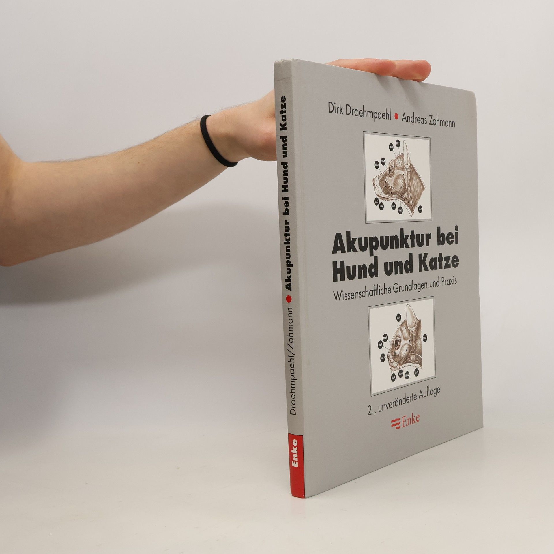 Dirk Draehmpaehl Akupunktur bei Hund und Katze
