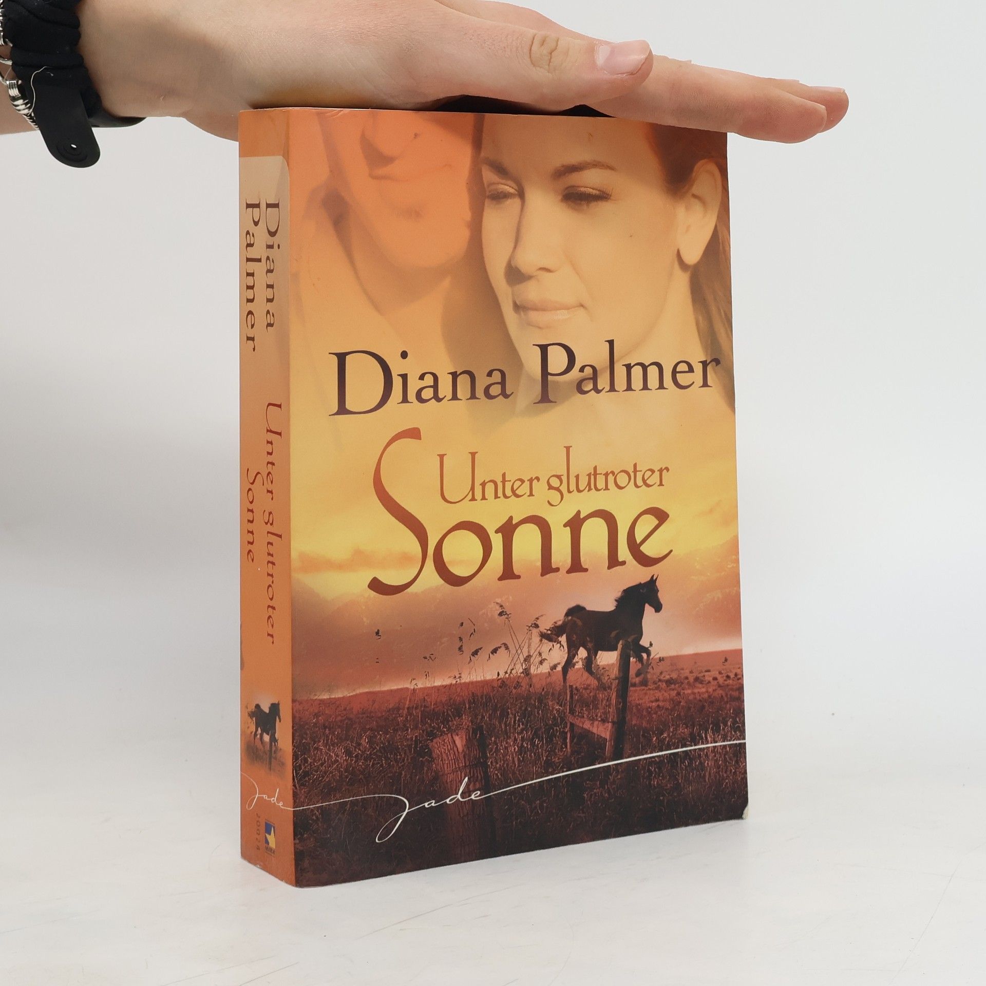 Diana Palmer Unter glutroter Sonne