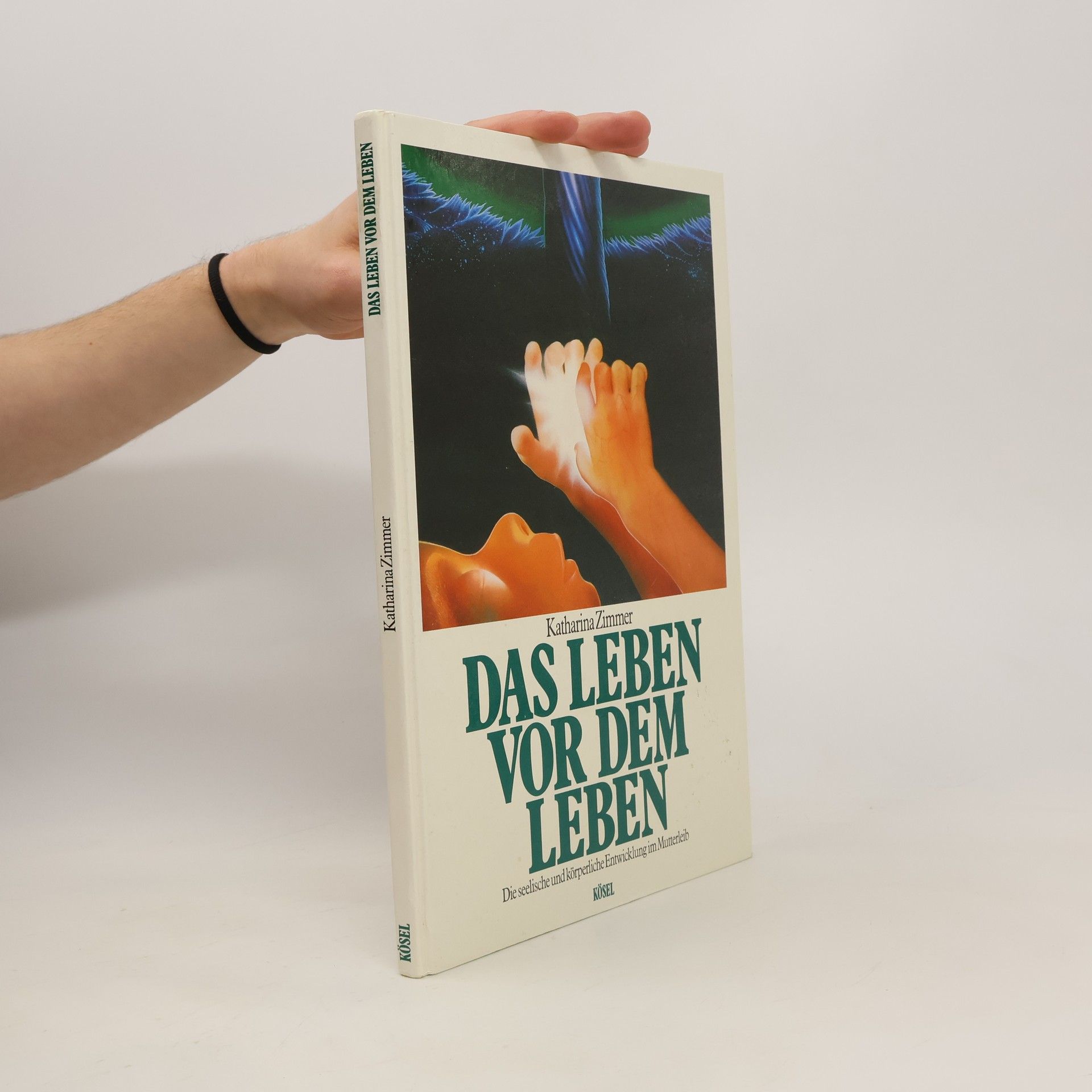 Katharina Zimmer Das Leben vor dem Leben