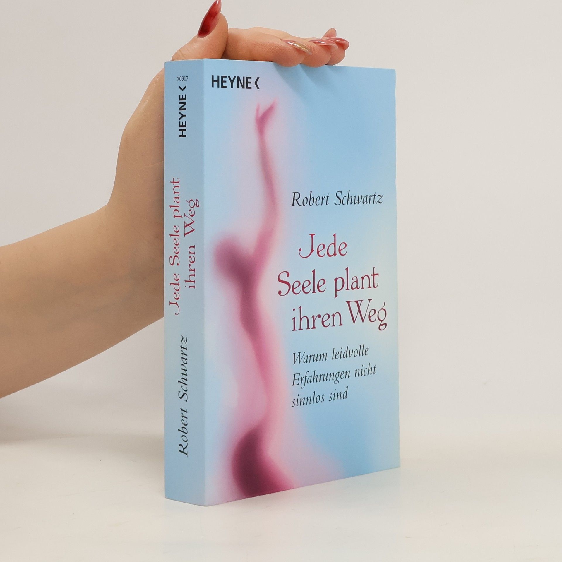 Robert Schwartz Jede Seele plant ihren Weg