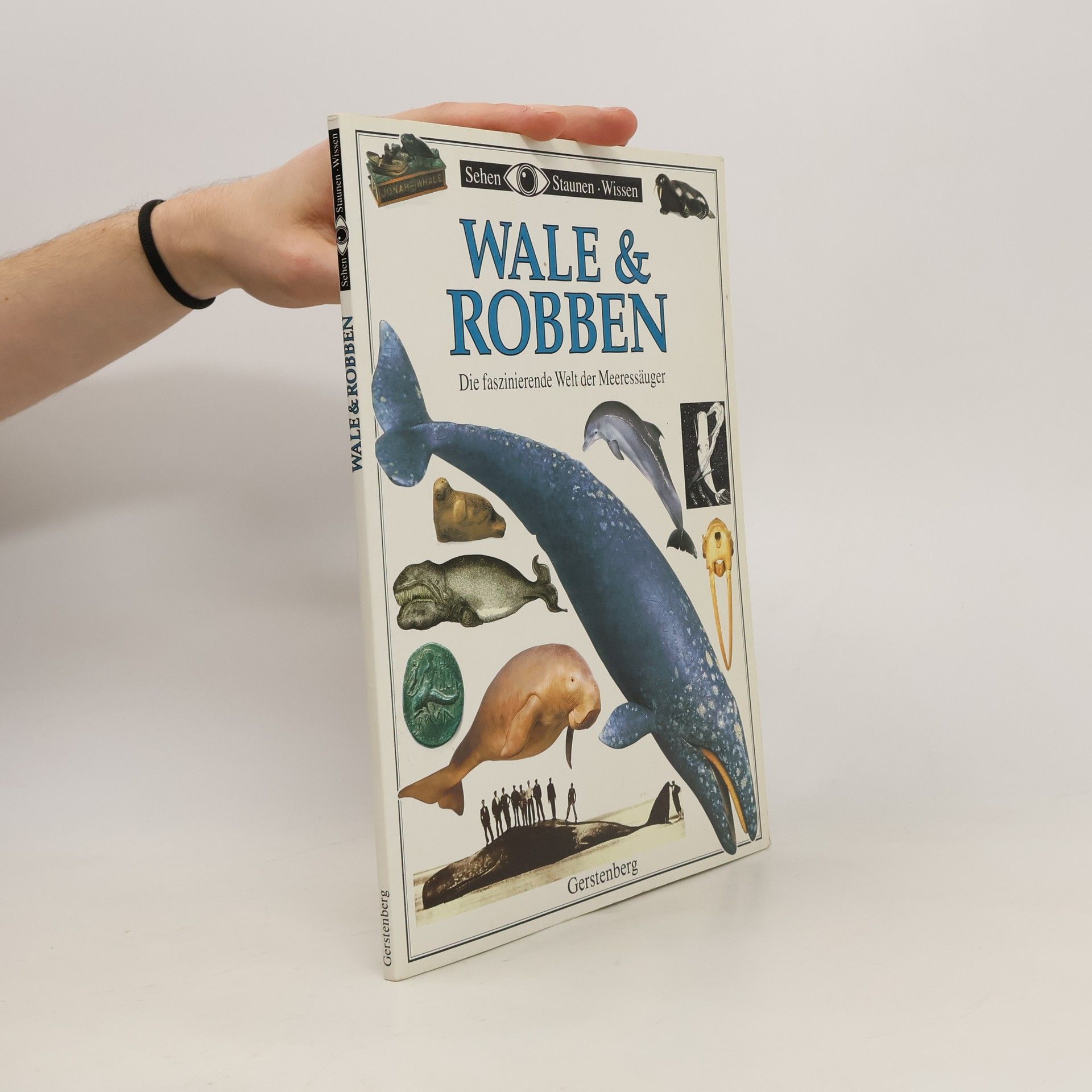 Vassili Papastavrou Wale & Robben