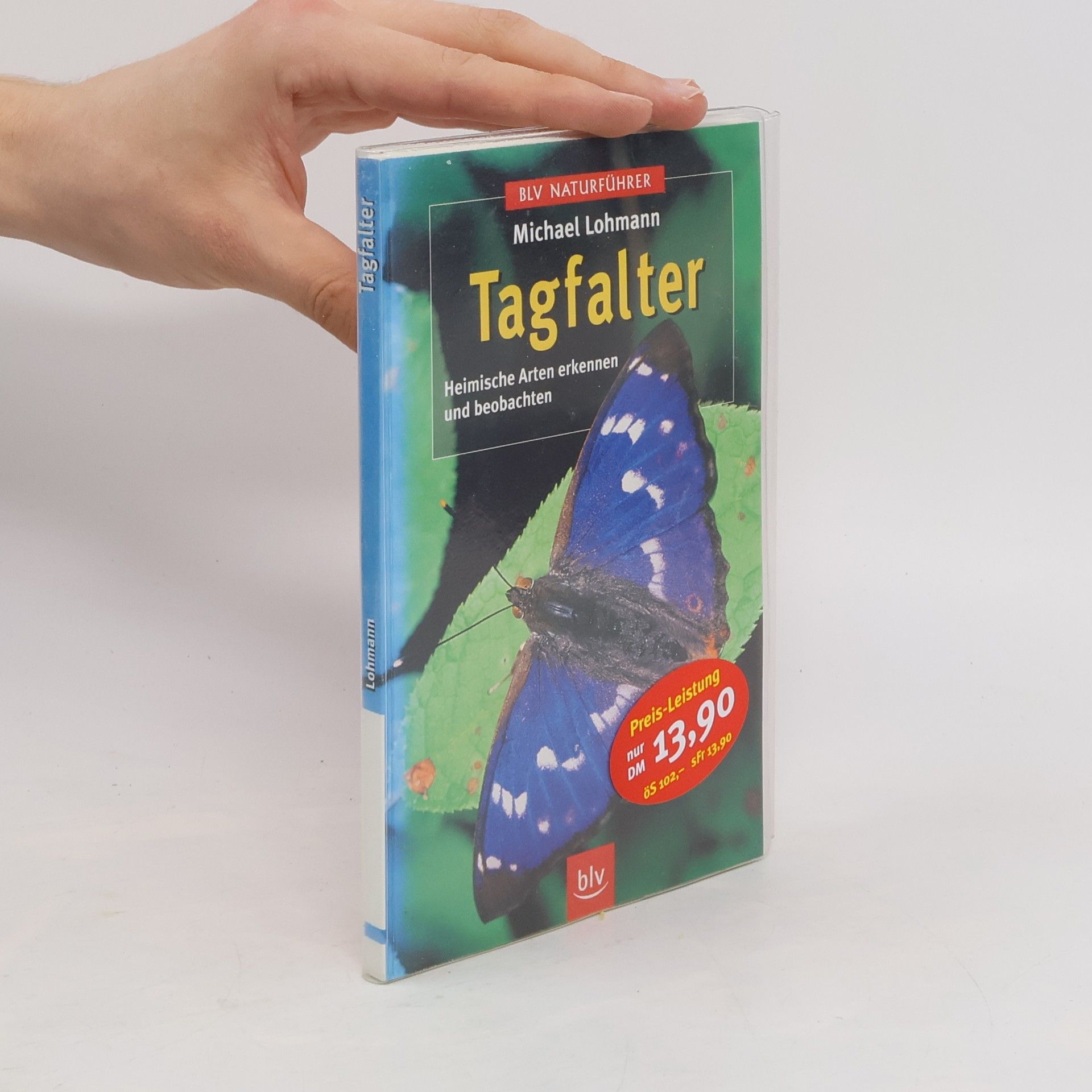 Michael Lohmann Tagfalter