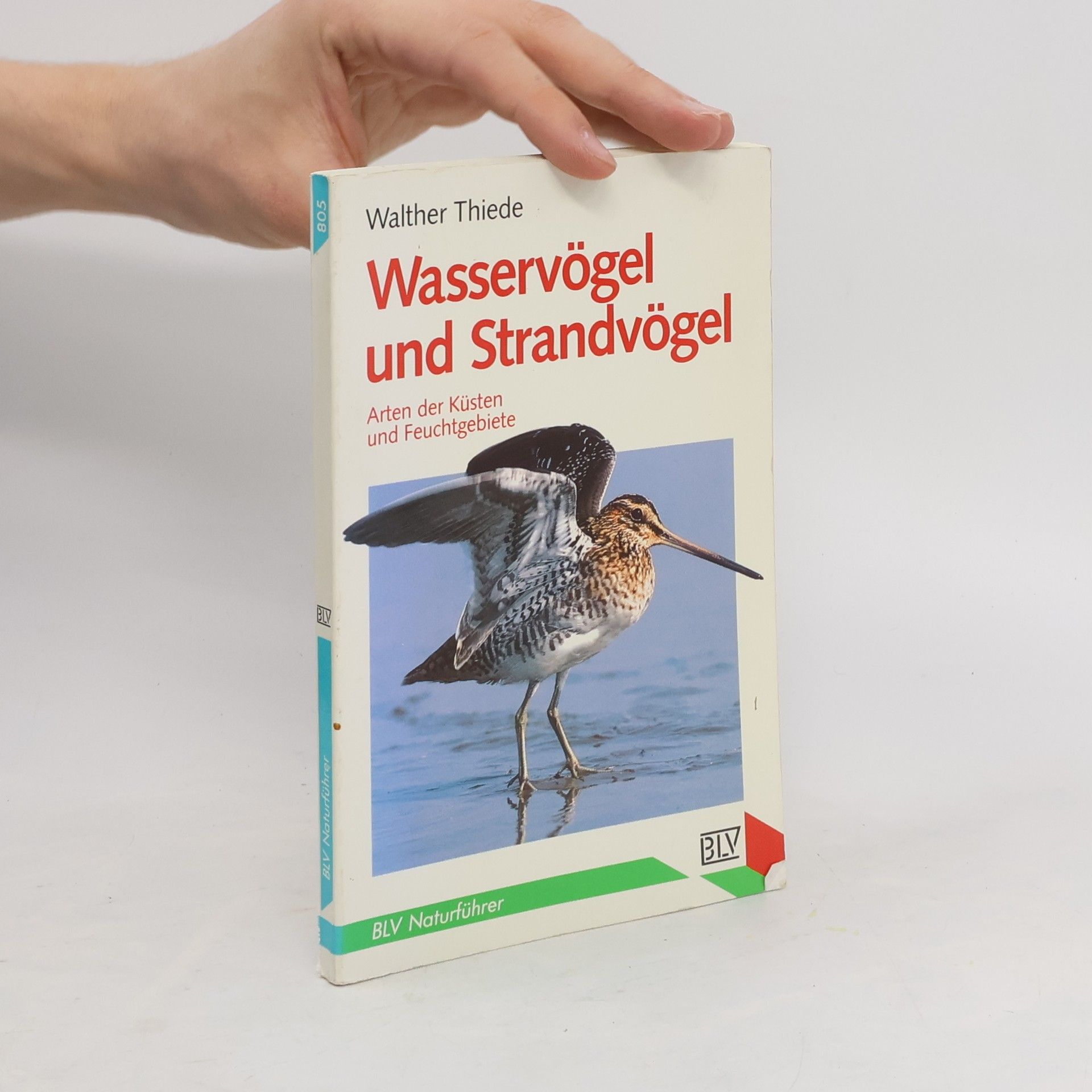 Walther Thiede Wasservögel und Strandvögel