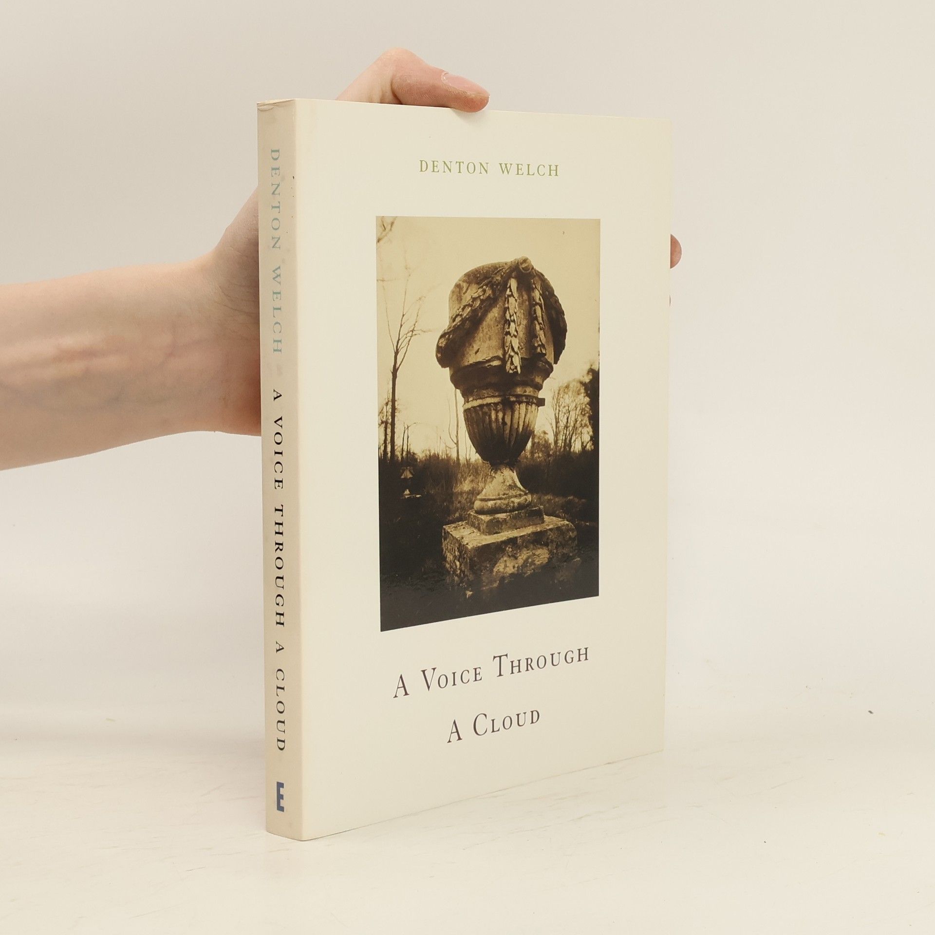 Denton Welch A Voice Through a Cloud