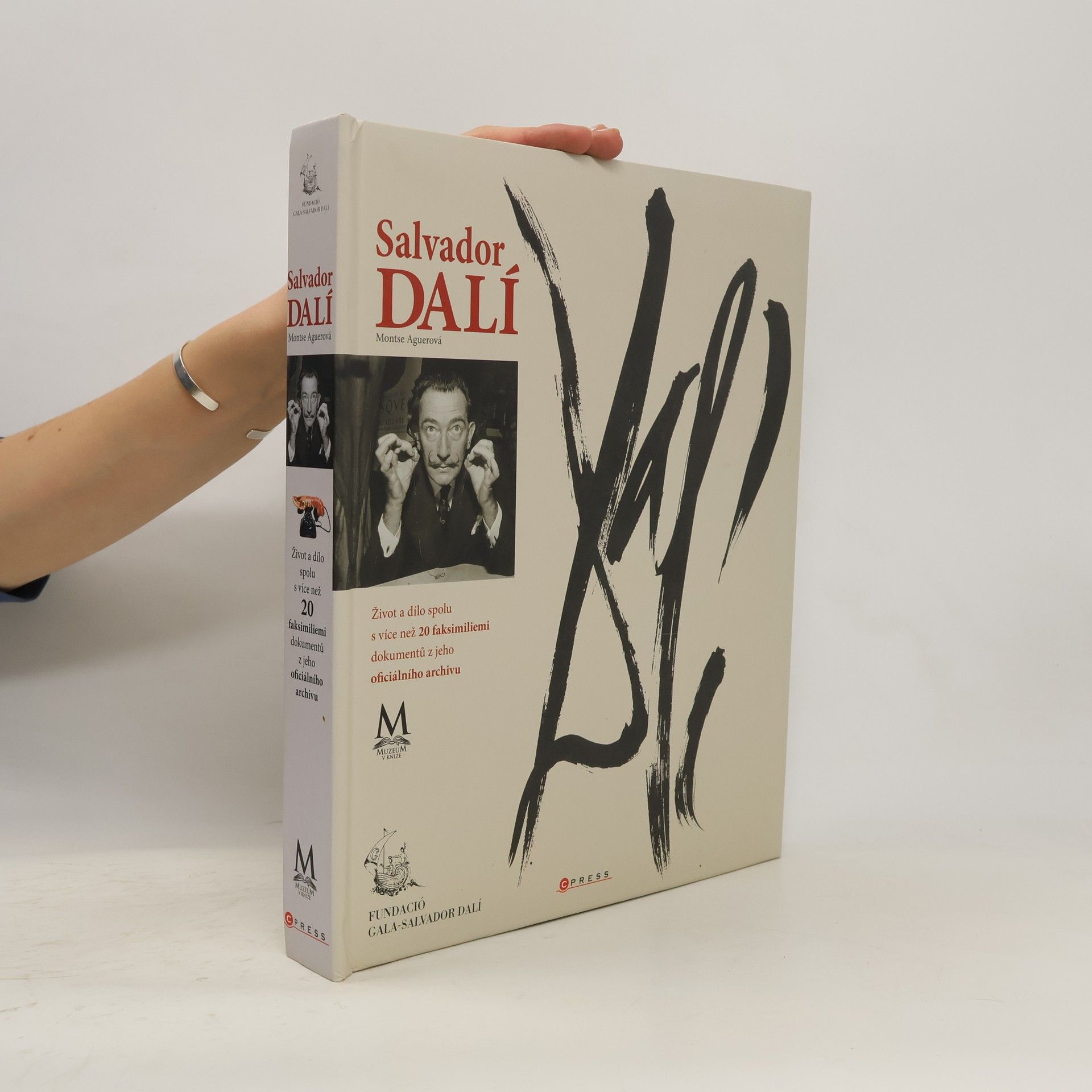 Montse Aguer Salvador Dalí - Barevný příběh Salvadora Dalího