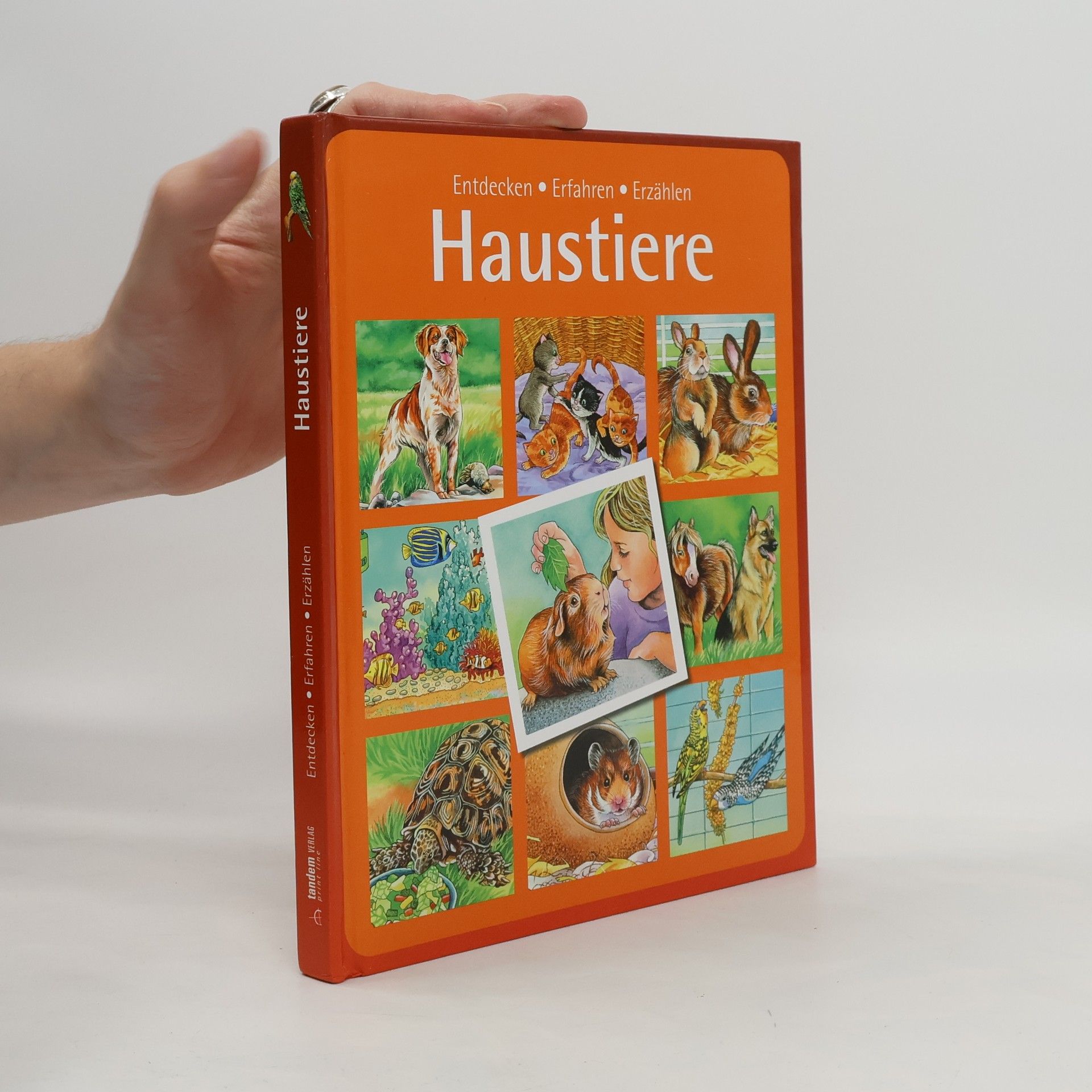 Collectif d'auteurs Haustiere