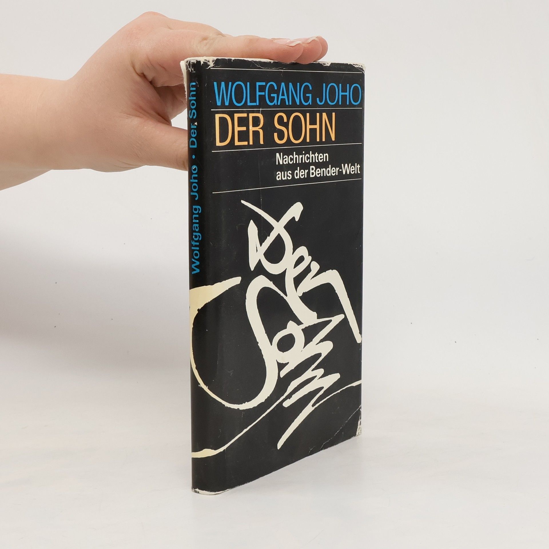 Wolfgang Joho Der Sohn