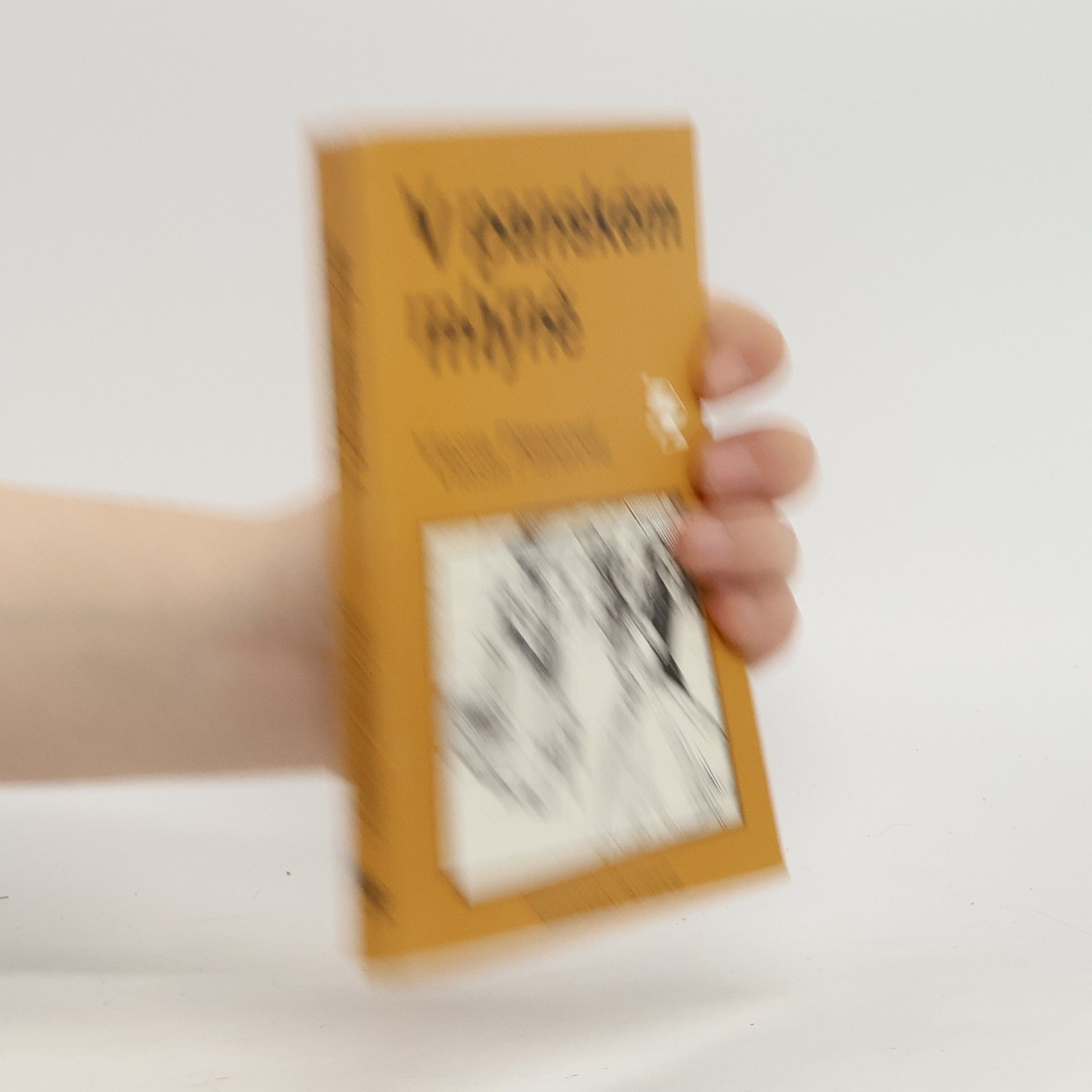 Vlasta Pittnerová V panském mlýně