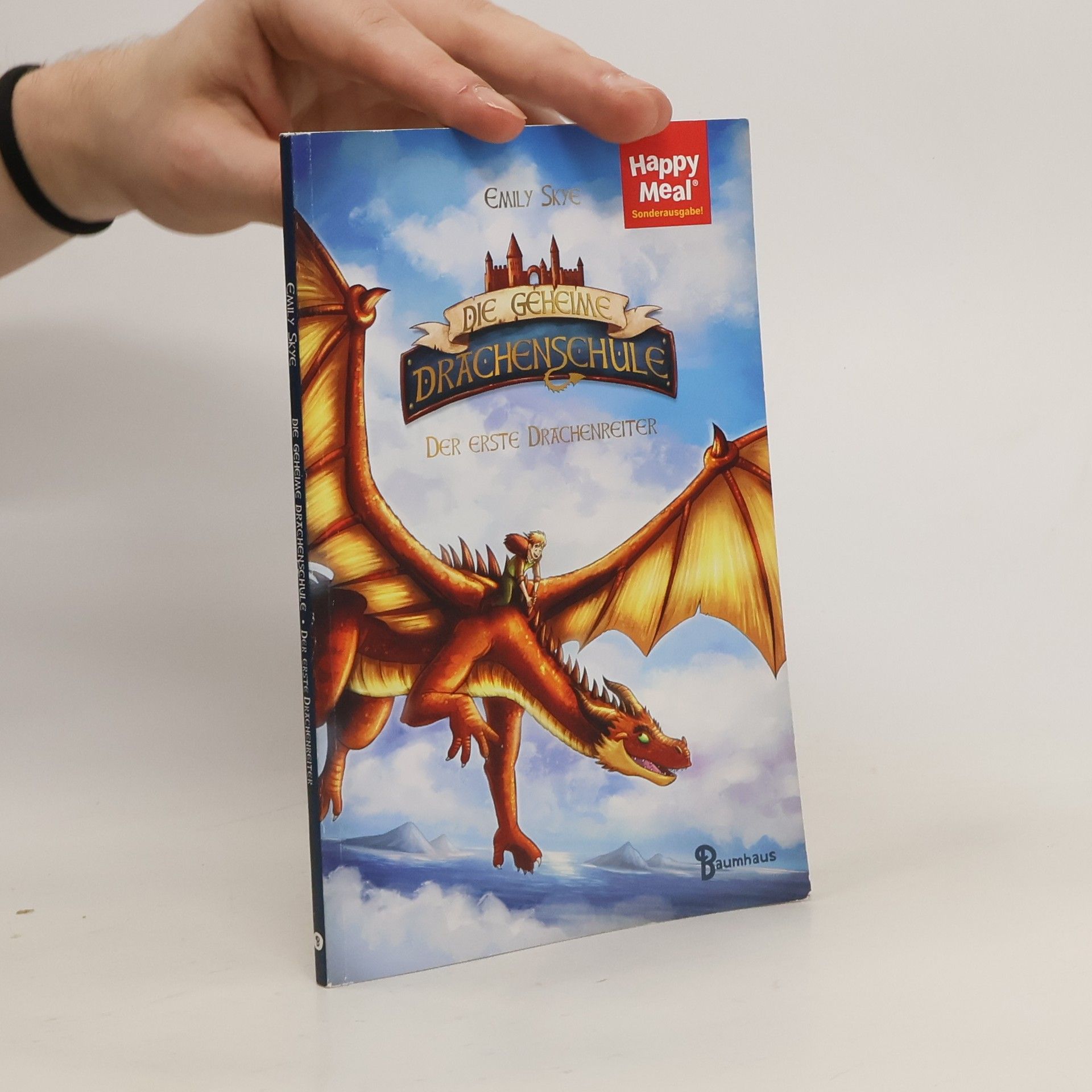 Emily Skye Die geheime Drachenschule