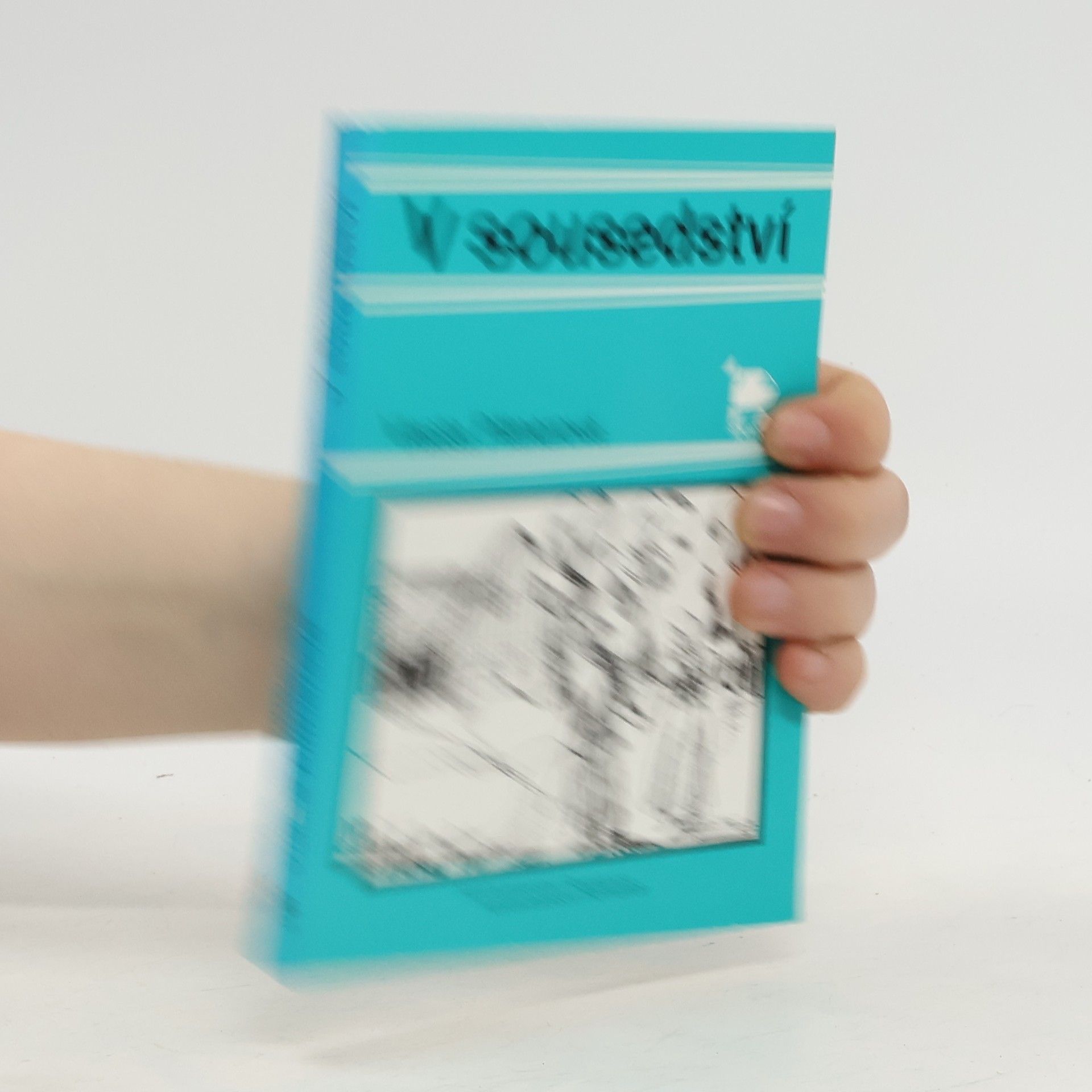 Vlasta Pittnerová V sousedství