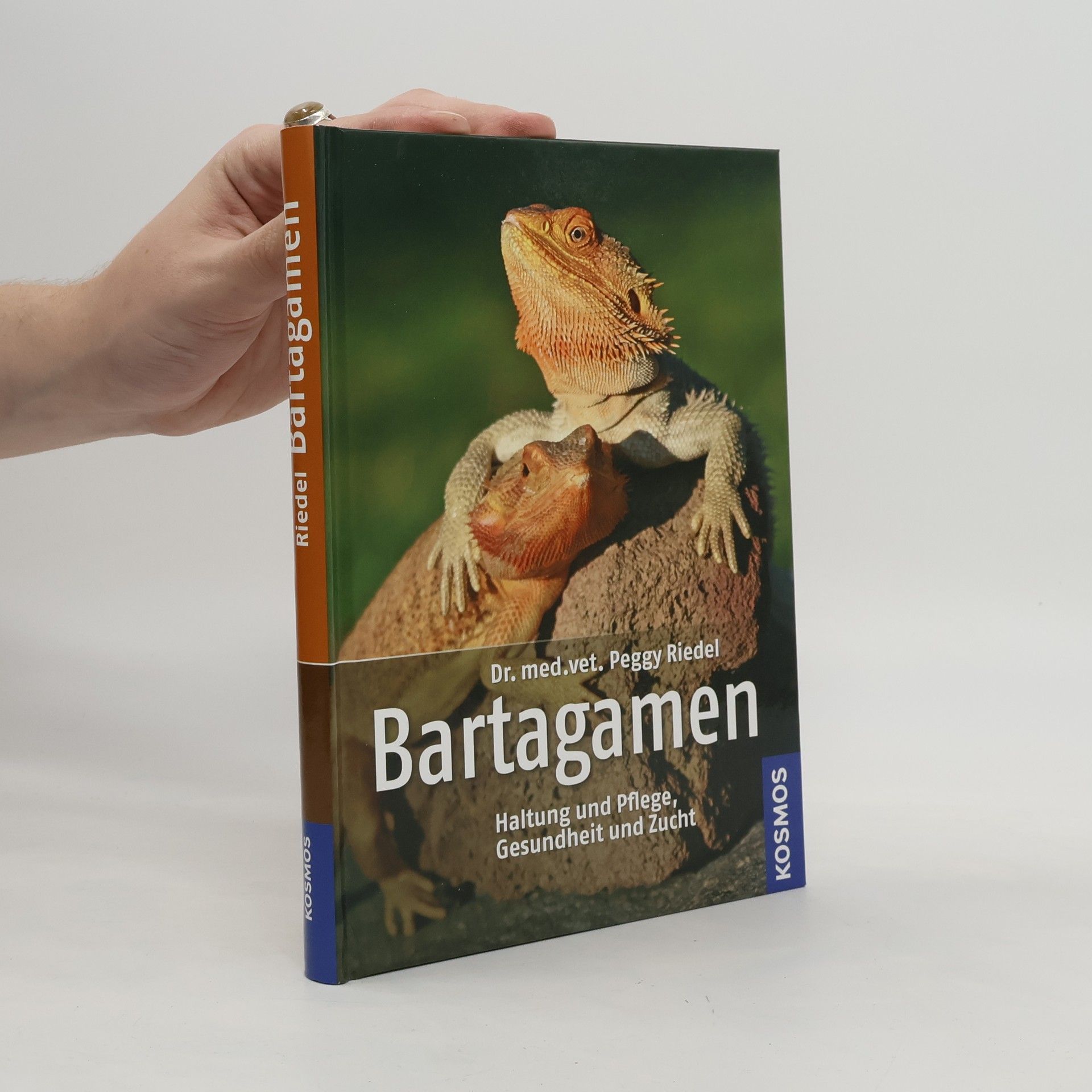 Peggy Riedel Bartagamen