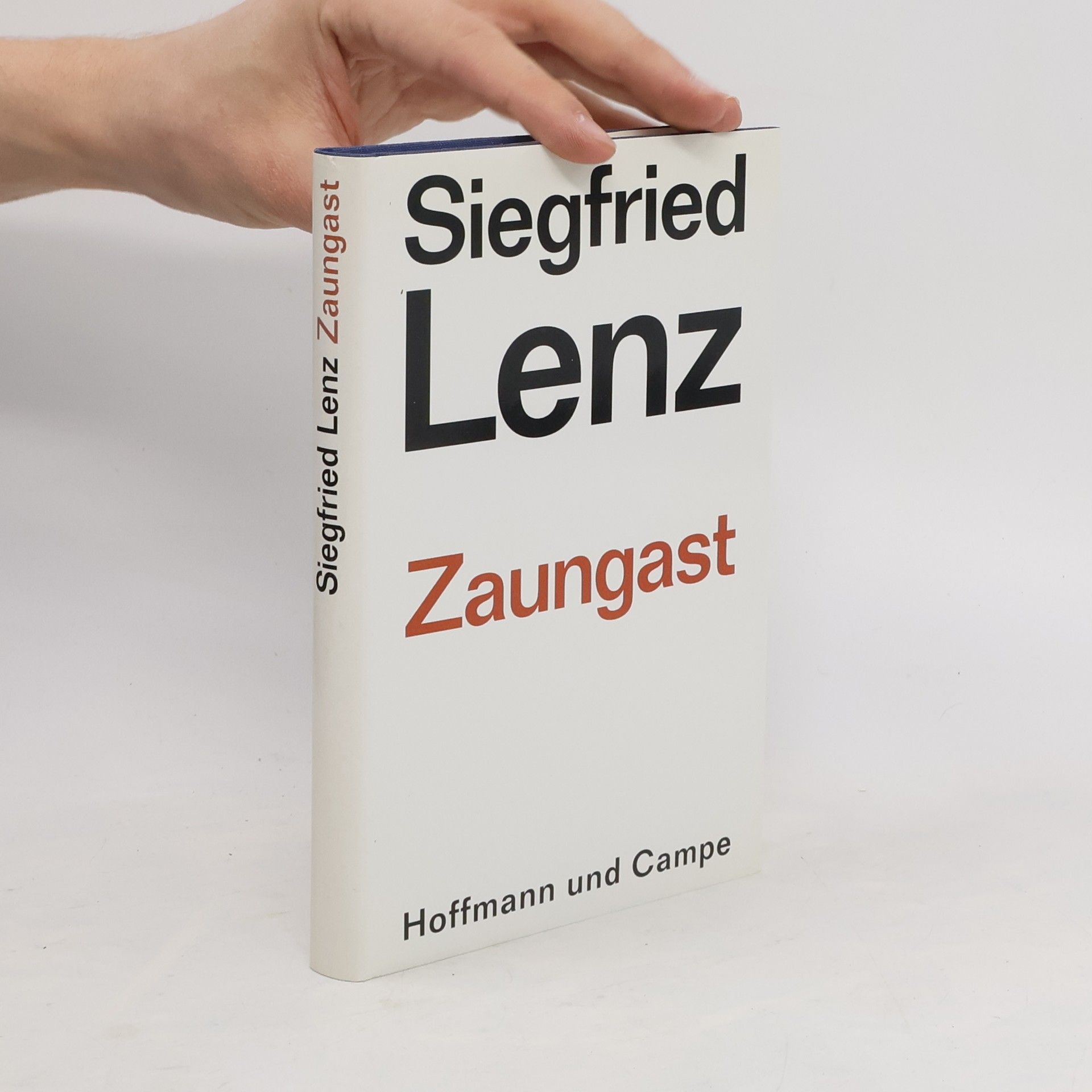 Siegfried Lenz Zaungast