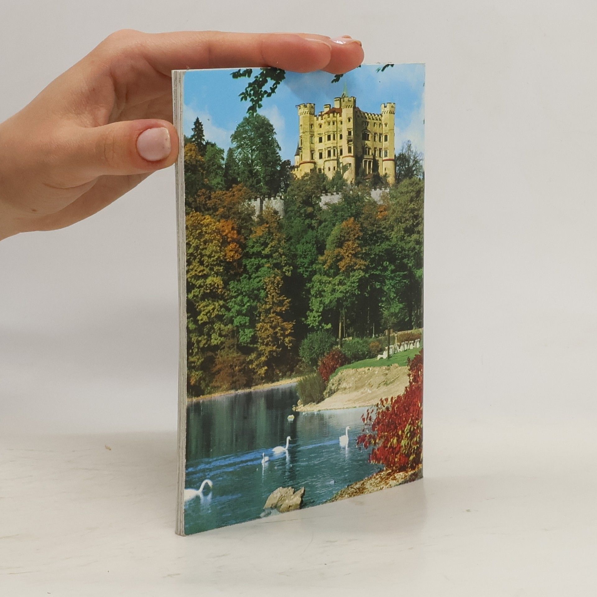Autorenkollektiv Schloßbeschreibung Neuschwanstein und Hohenschwangau