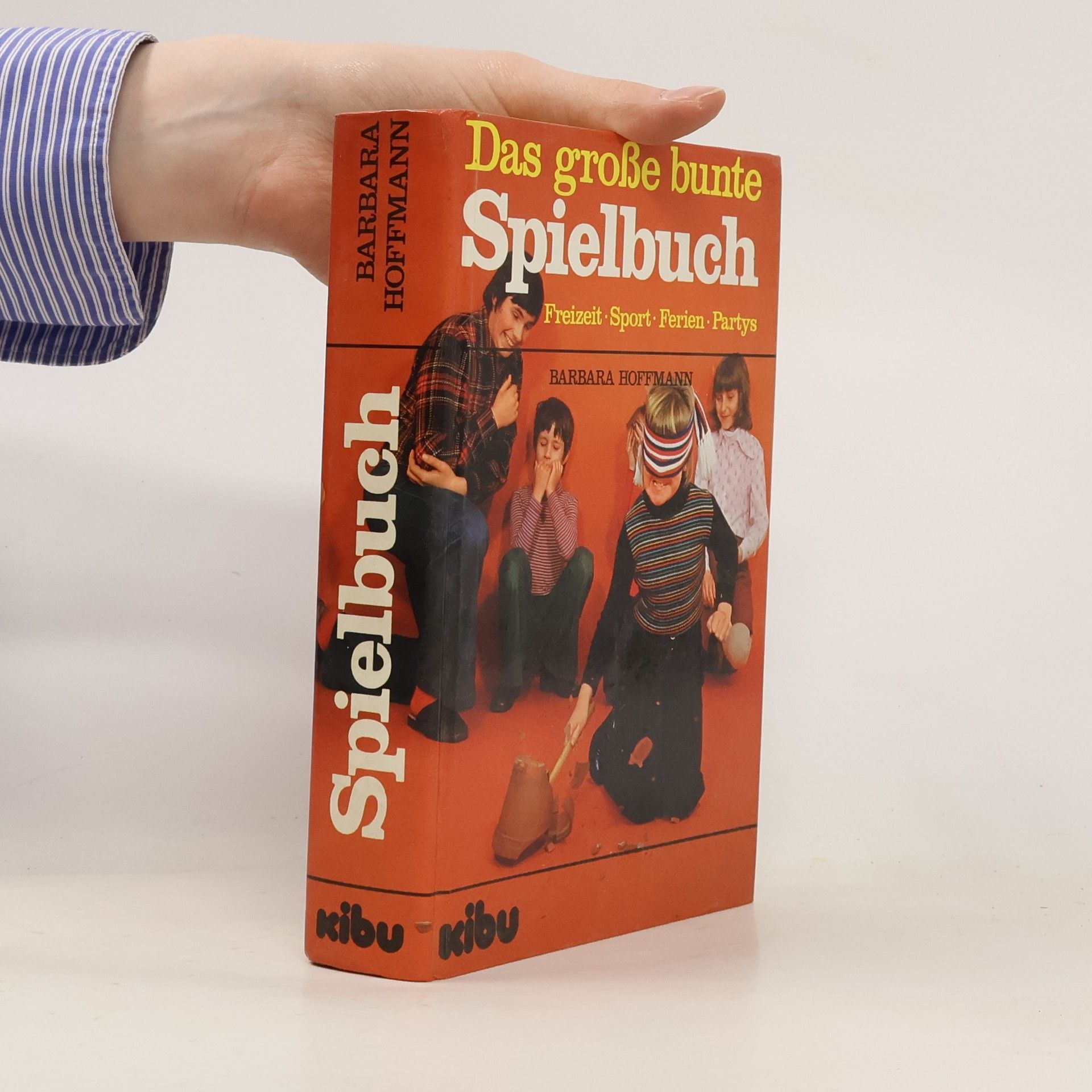 Barbara Hoffmann Das große bunte Spielbuch