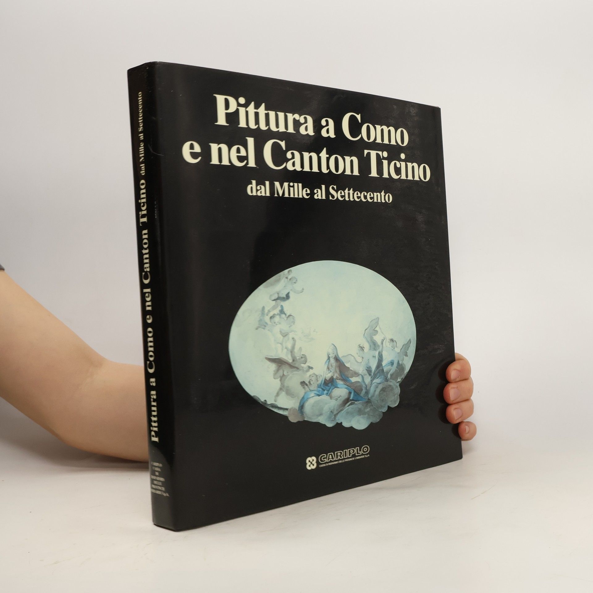 AA.VV. Pittura a Como e nel Canton Ticino : dal Mille al Settecento