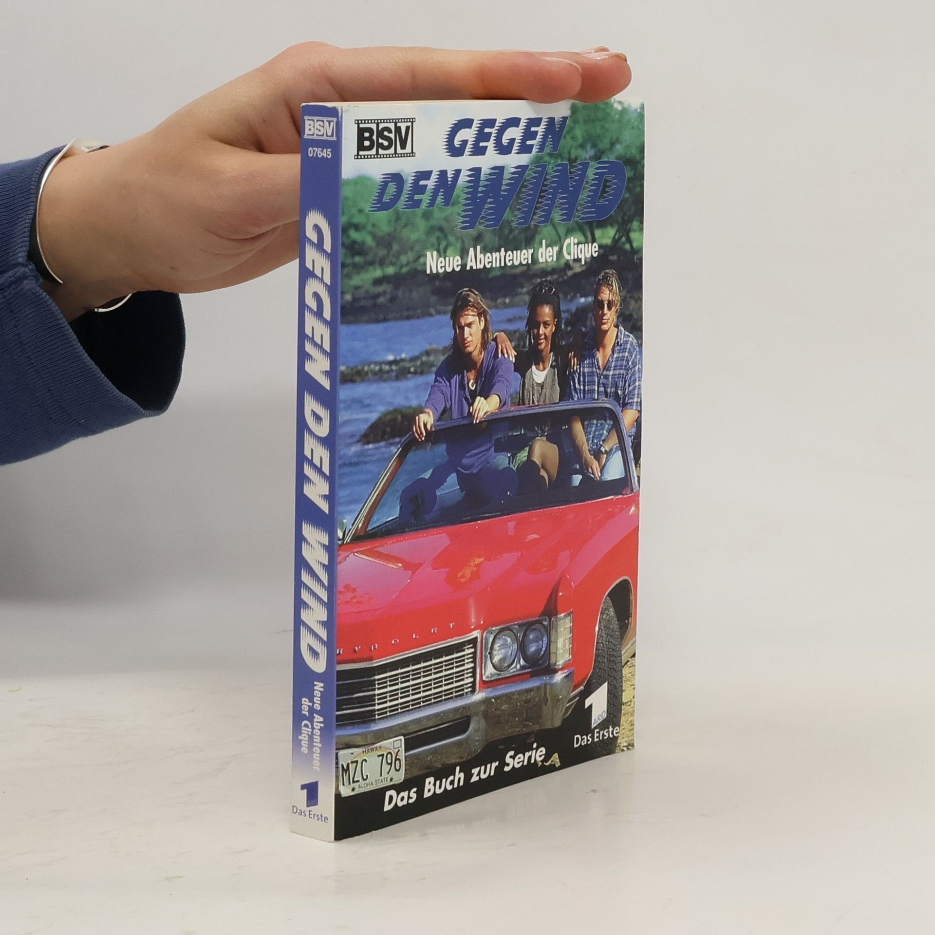 Collectif d'auteurs Gegen den Wind. Neue Abenteuer der Clique. I. Teil