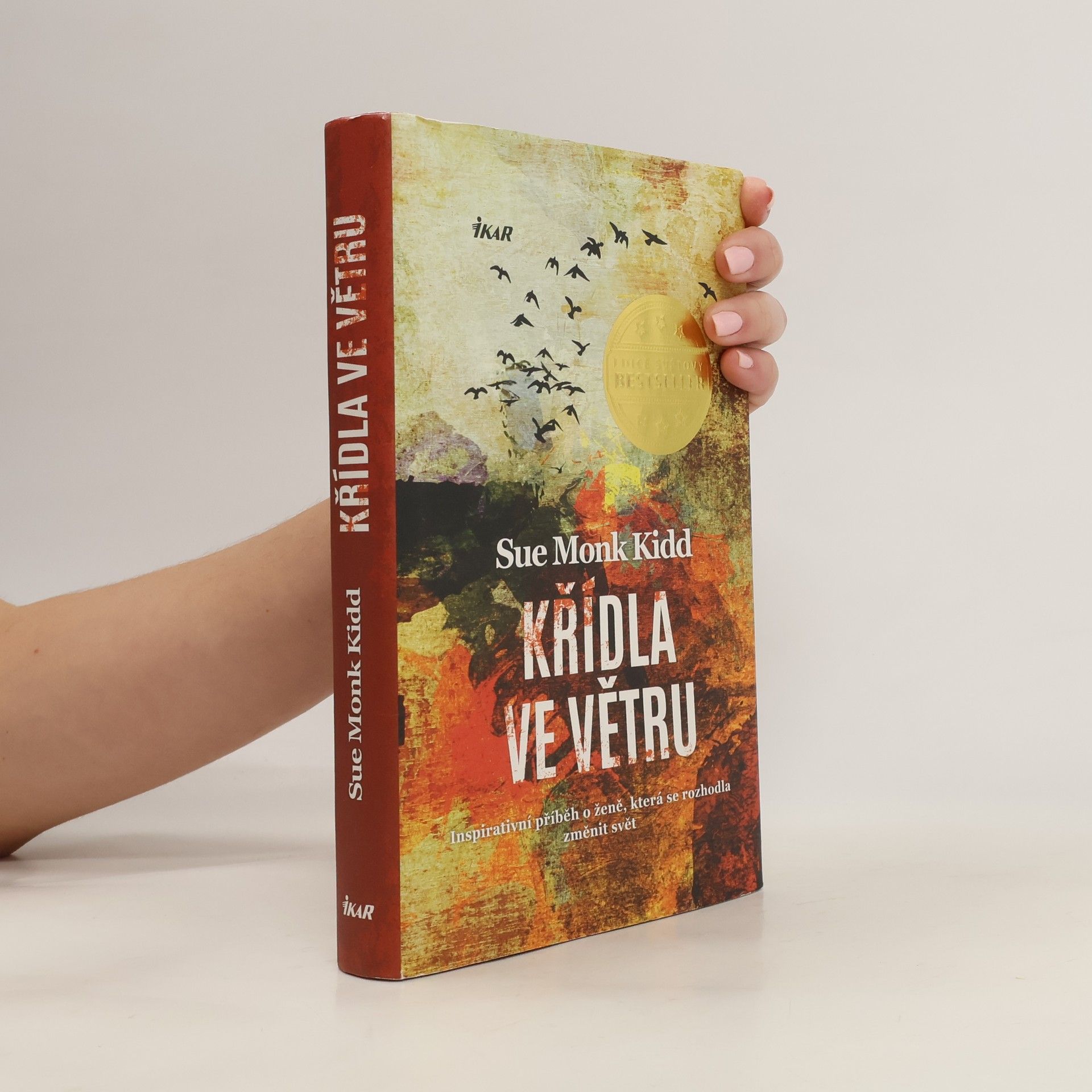 Sue Monk Kidd Křídla ve větru