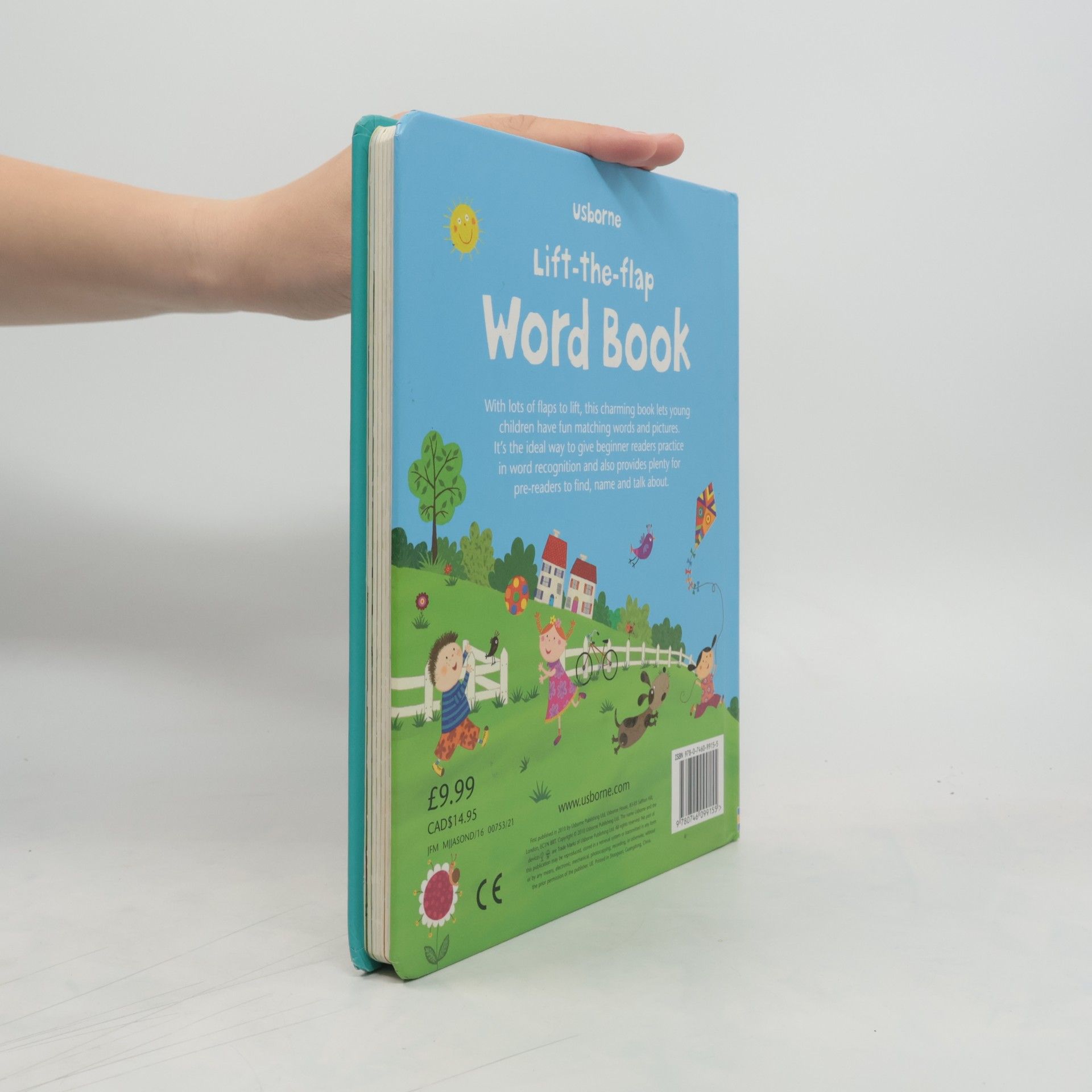 Felicity Brooks Lift-the-flap : Word book