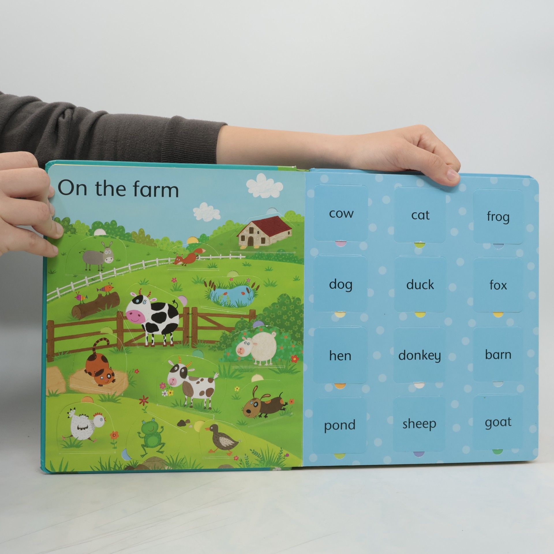 Felicity Brooks Lift-the-flap : Word book