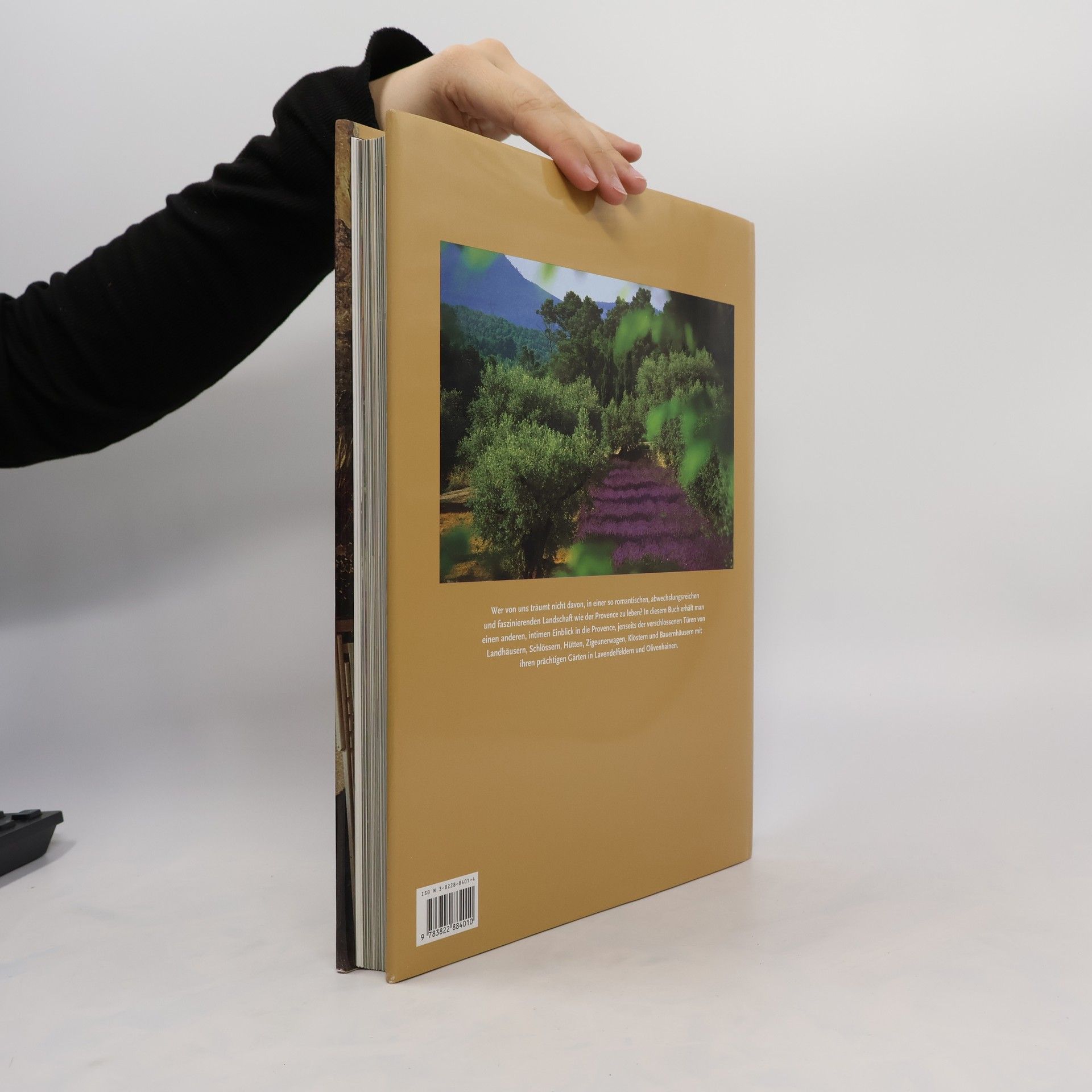 Lisa Lovatt-Smith Interieurs in der Provence
