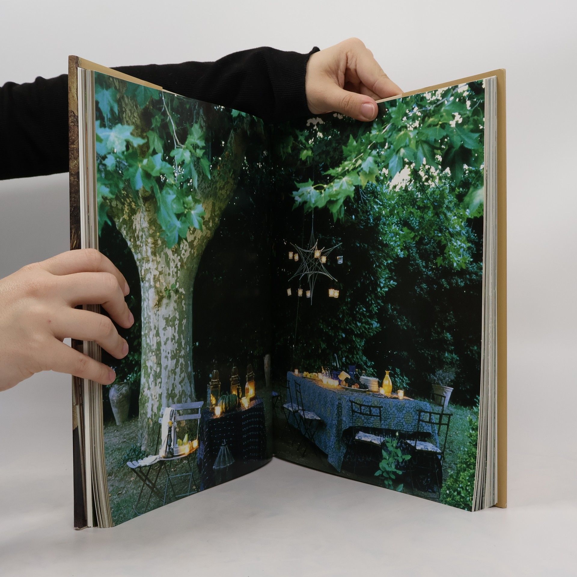 Lisa Lovatt-Smith Interieurs in der Provence