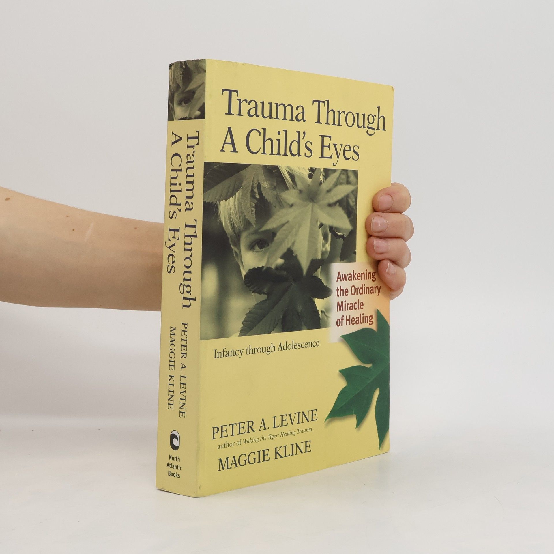 Peter A. Levine Trauma Through A Childs Eyes