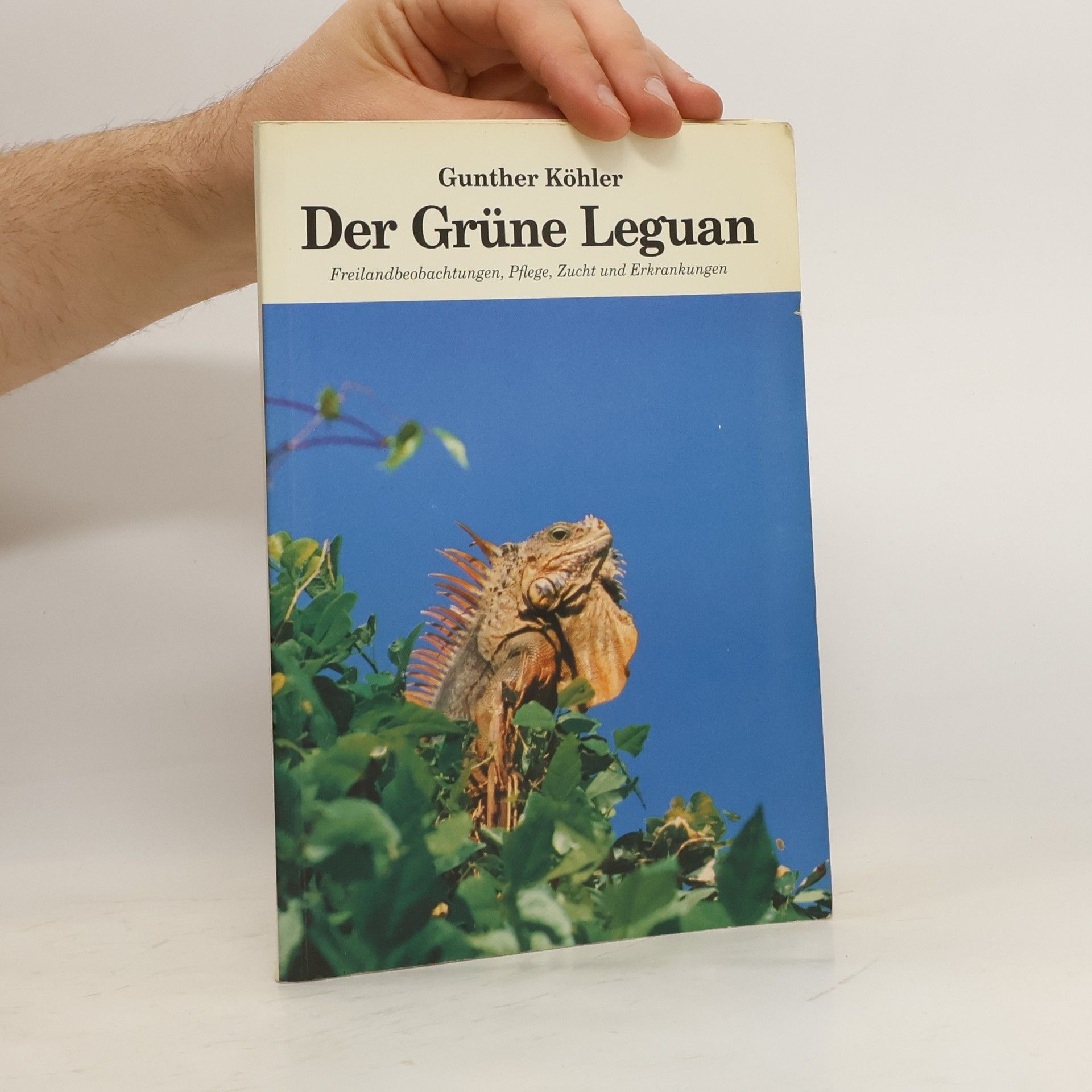 Gunther Köhler Der Grüne Leguan