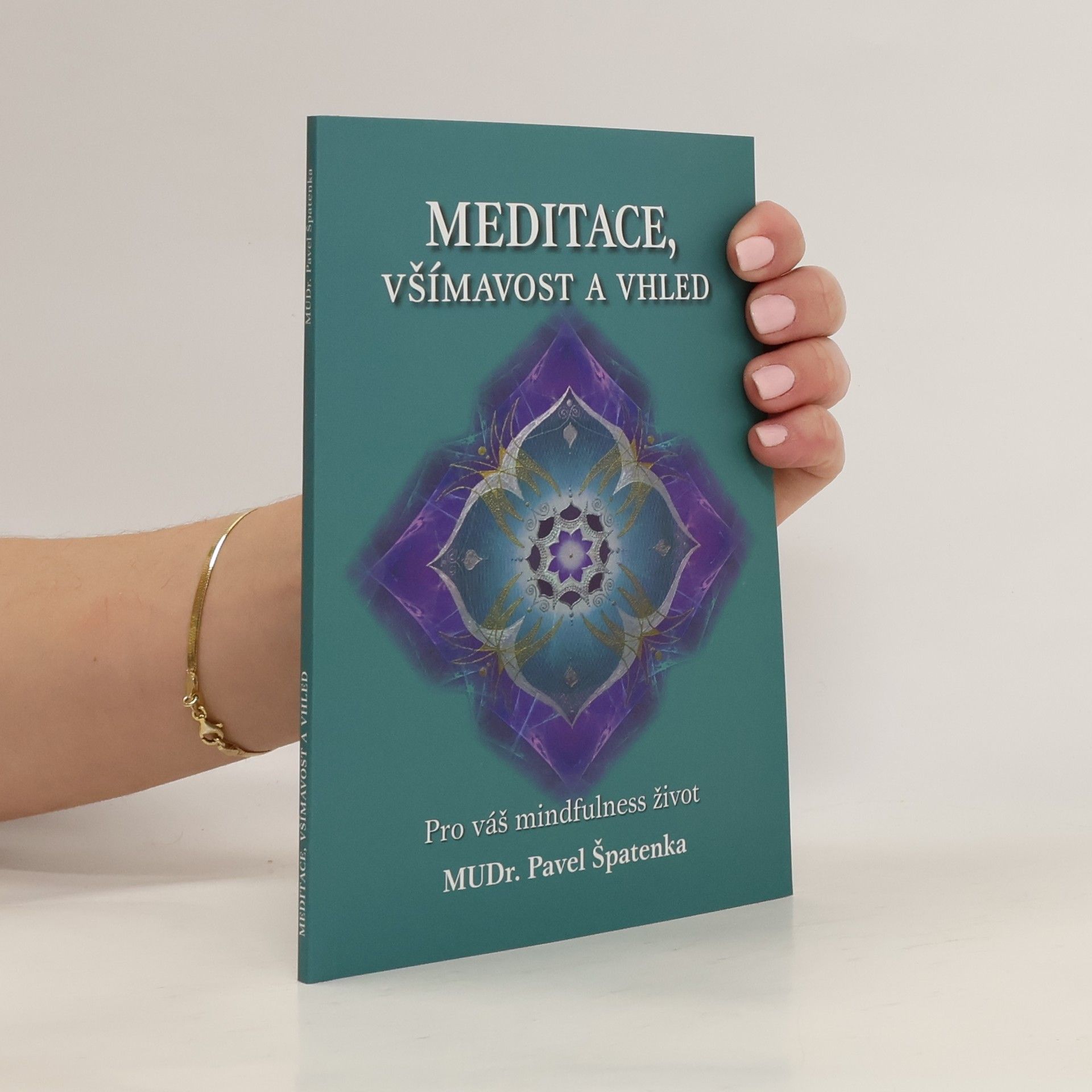 Pavel Špatenka Meditace, všímavost a vhled