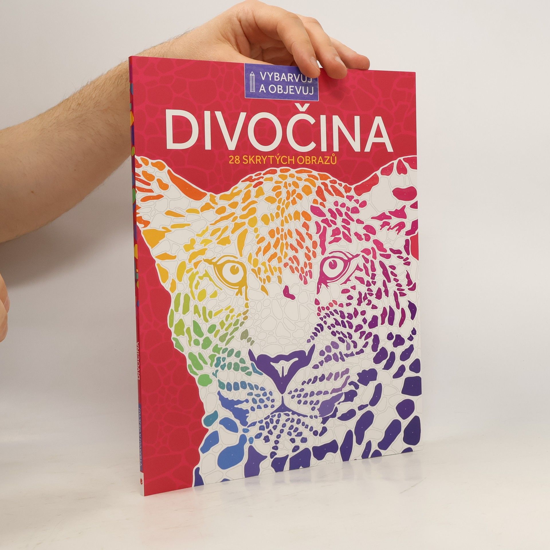 kolektiv Divočina 28 skrytých obrazů