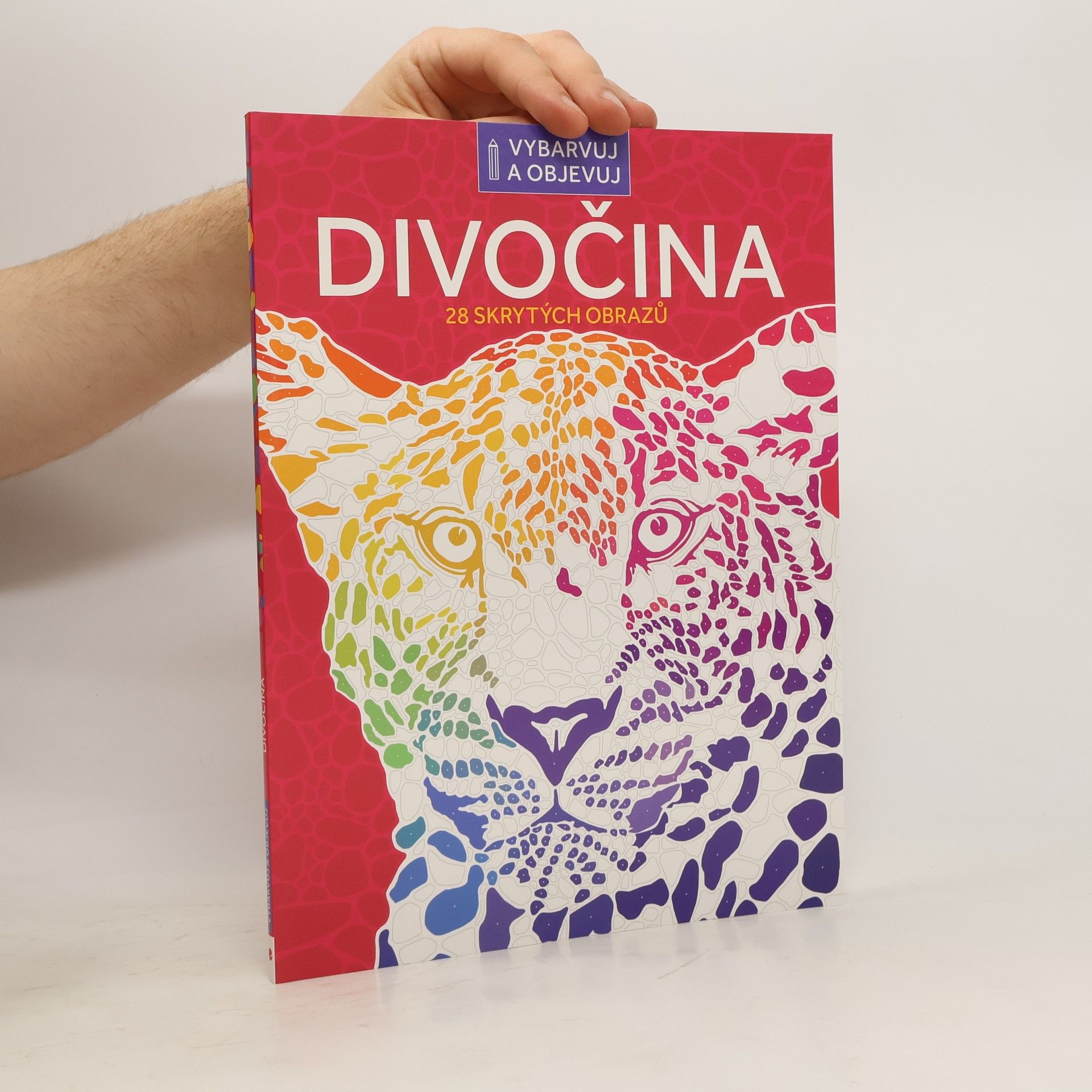 Autorenkollektiv Divočina 28 skrytých obrazů