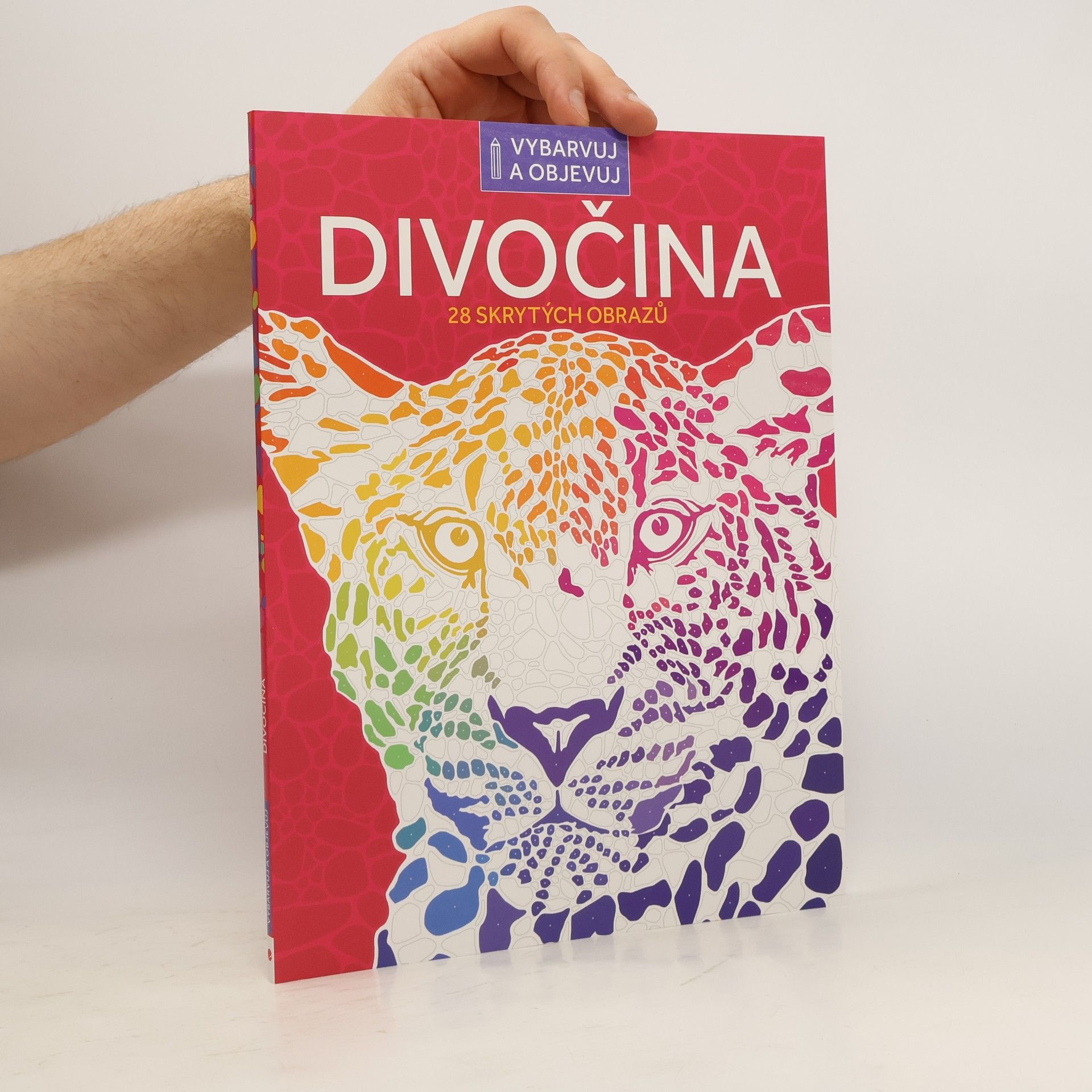 Kolektív autorov Divočina 28 skrytých obrazů