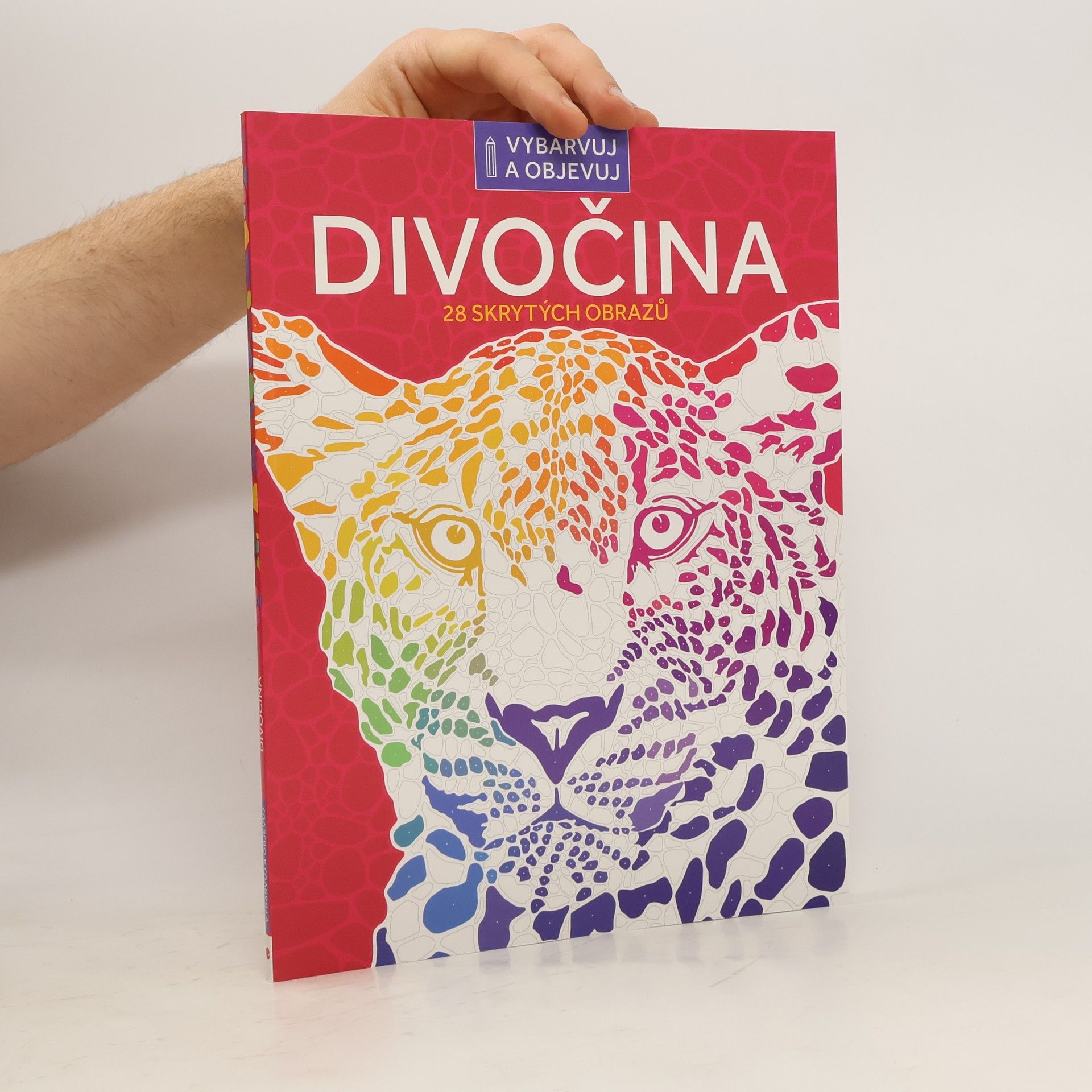 Autores varios Divočina 28 skrytých obrazů