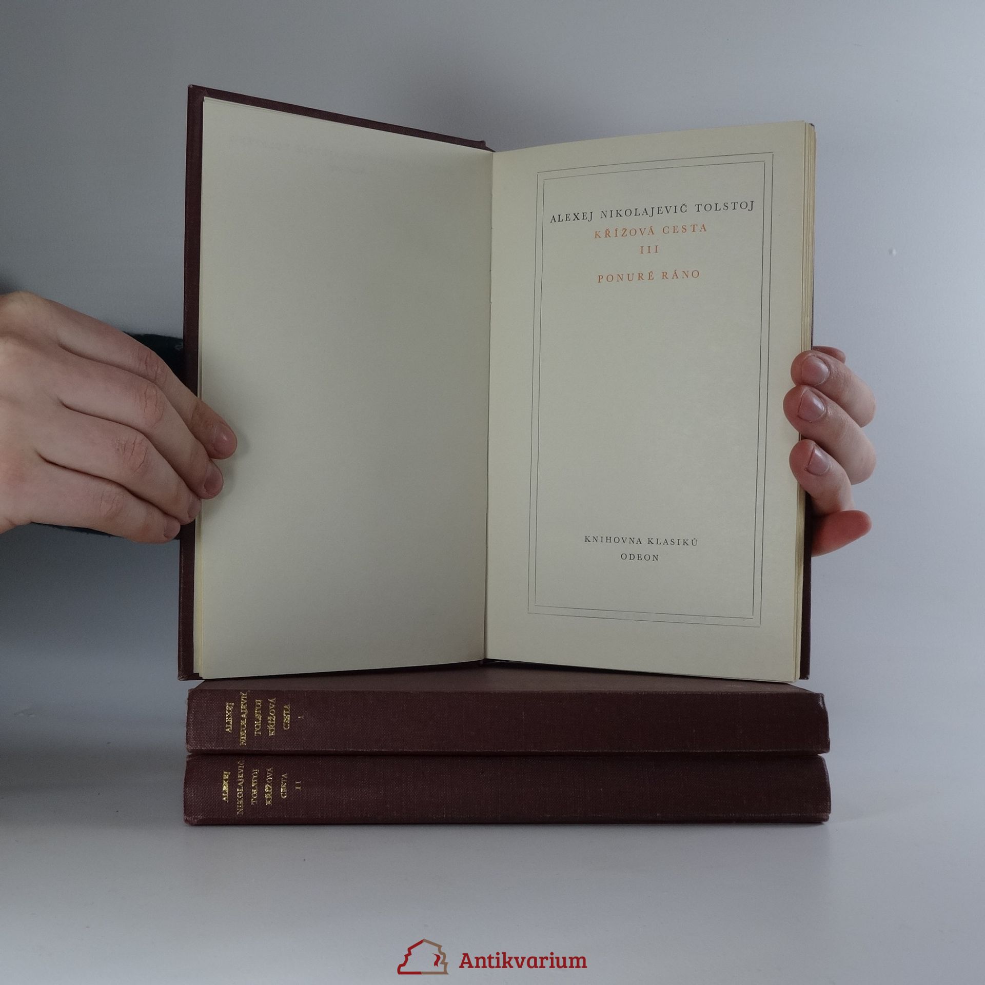 Alexei Nikolajewitsch Tolstoi Křížová cesta I.-III.