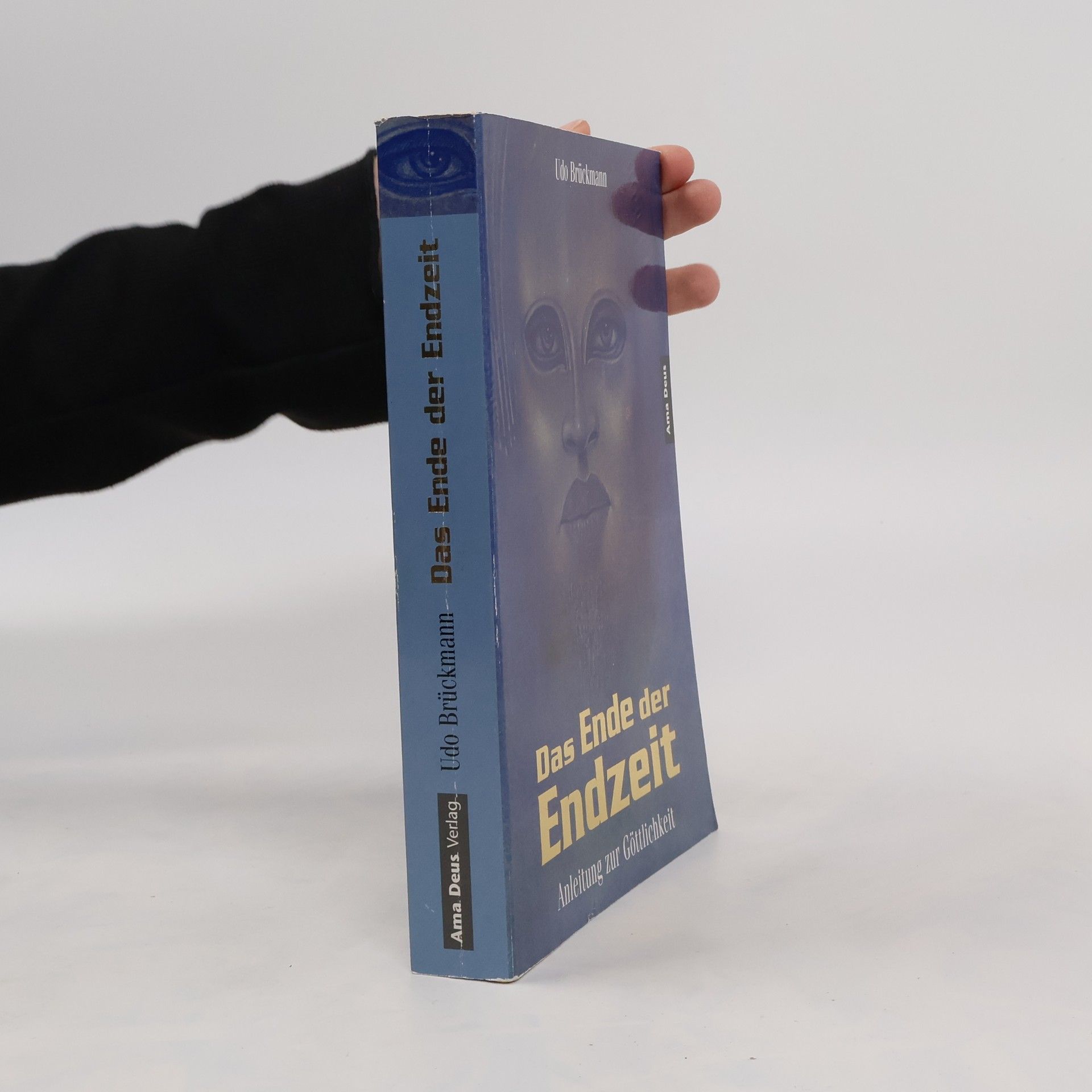 Udo Brückmann Das Ende der Endzeit