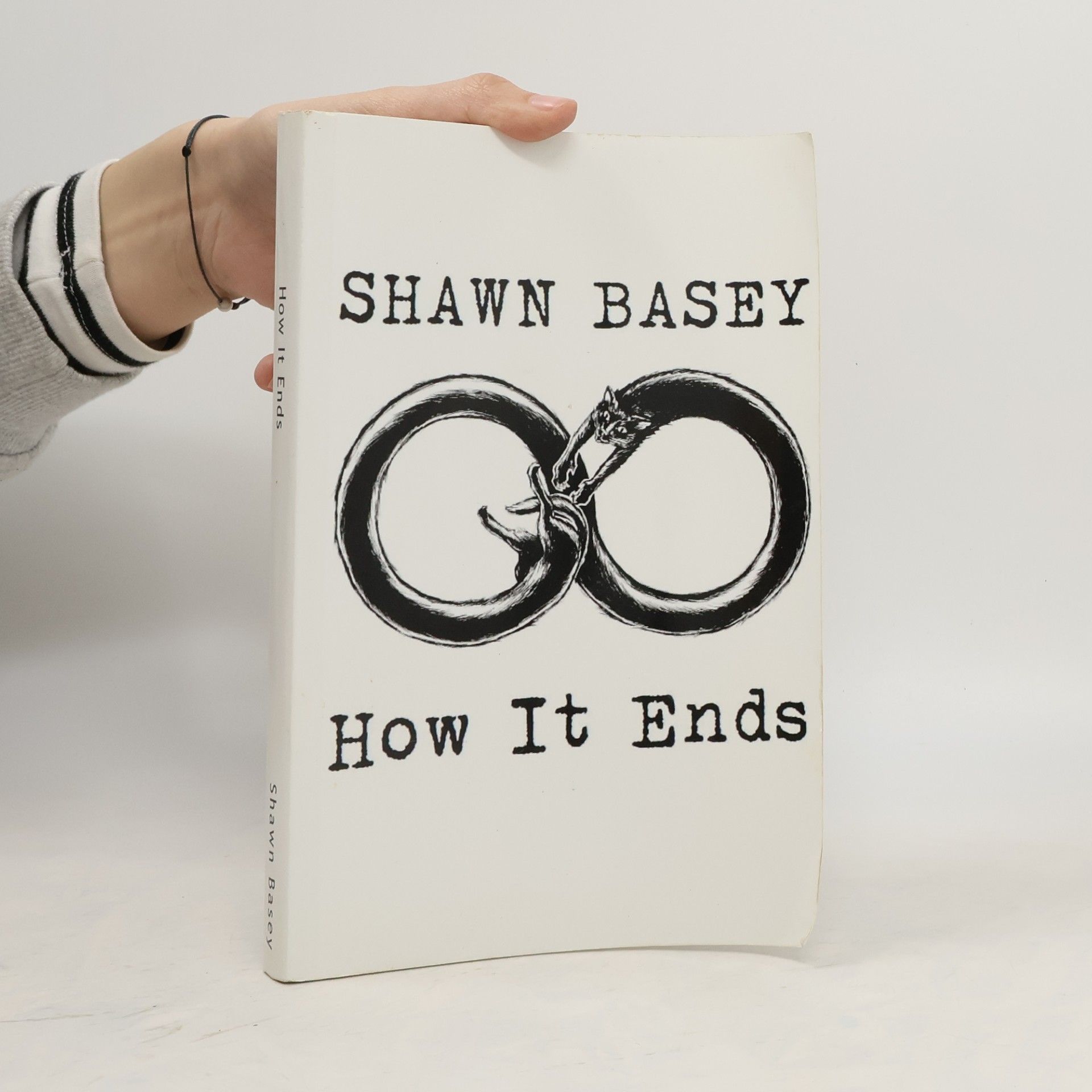 Shawn Basey How It Ends