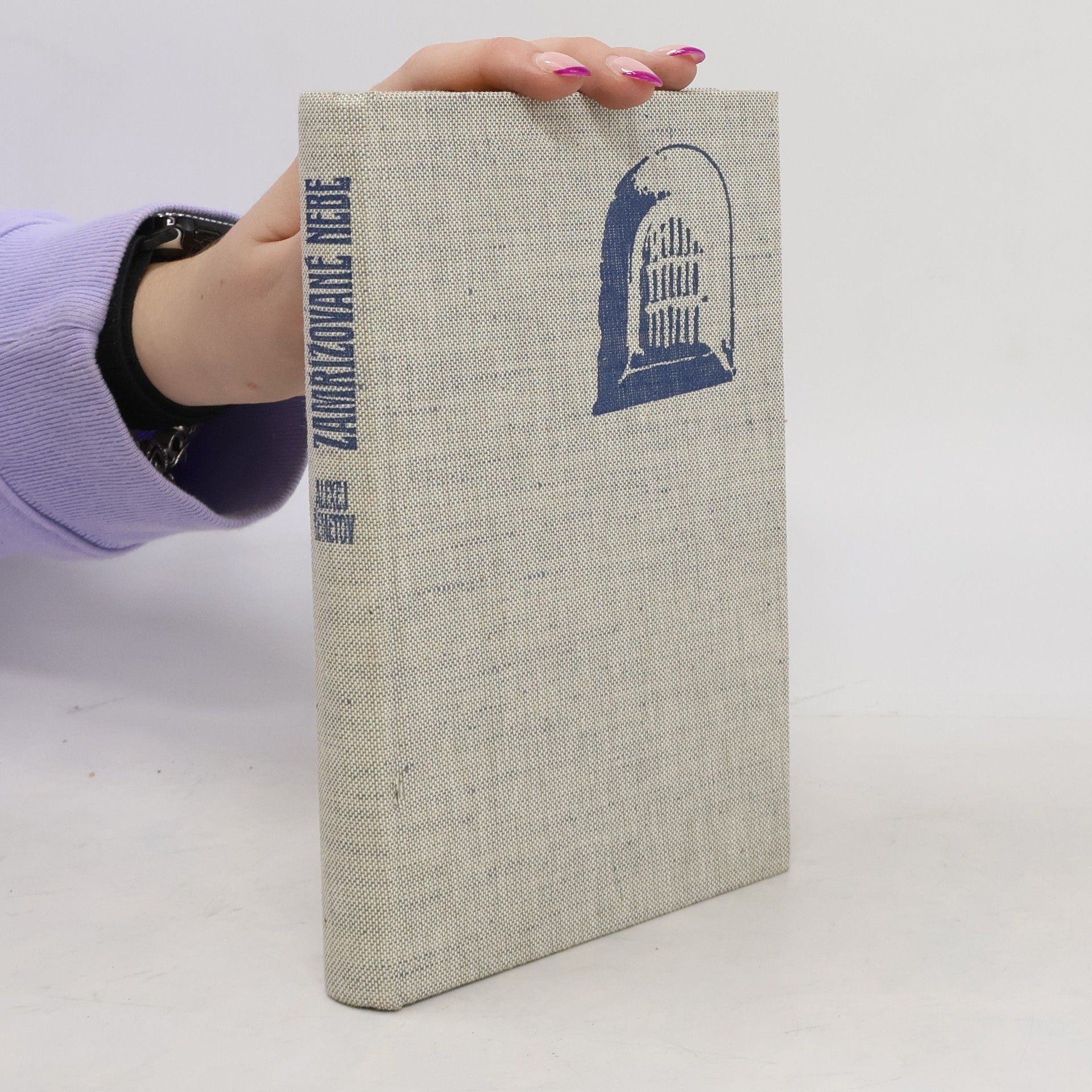 Alexej Šemetov Zamřížované nebe