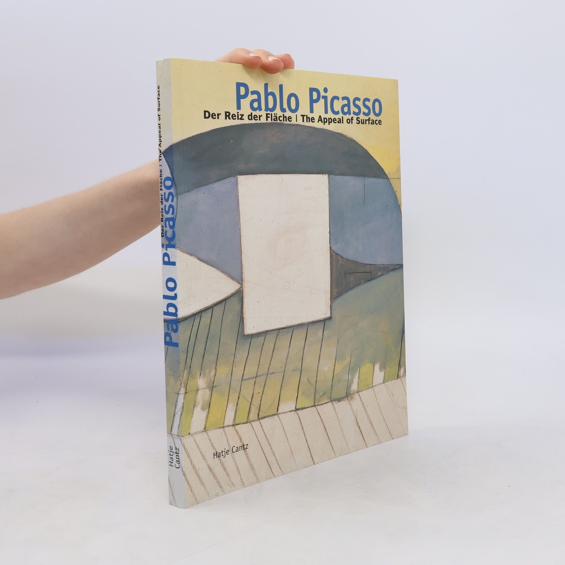 Pablo Picasso Pablo Picasso - Der Reiz der Fläche  - The appeal fo surface