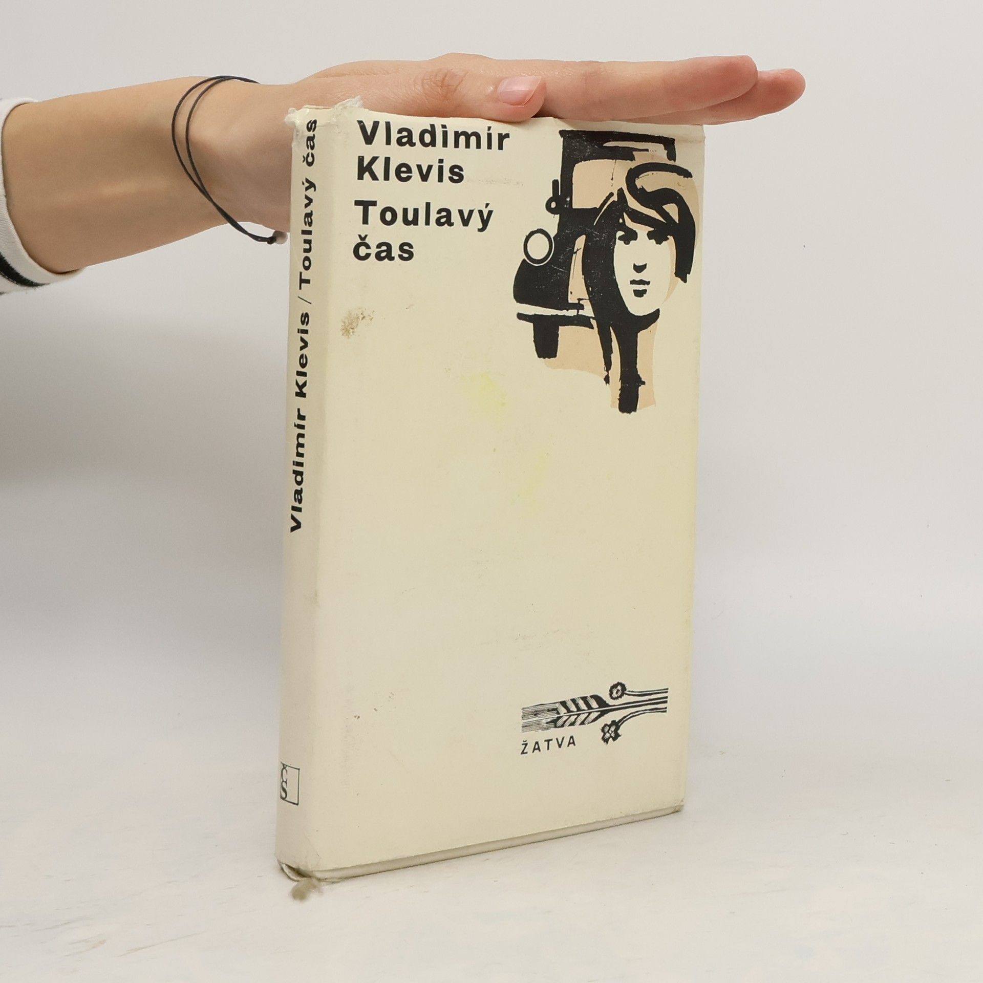 Vladimír Klevis Toulavý čas