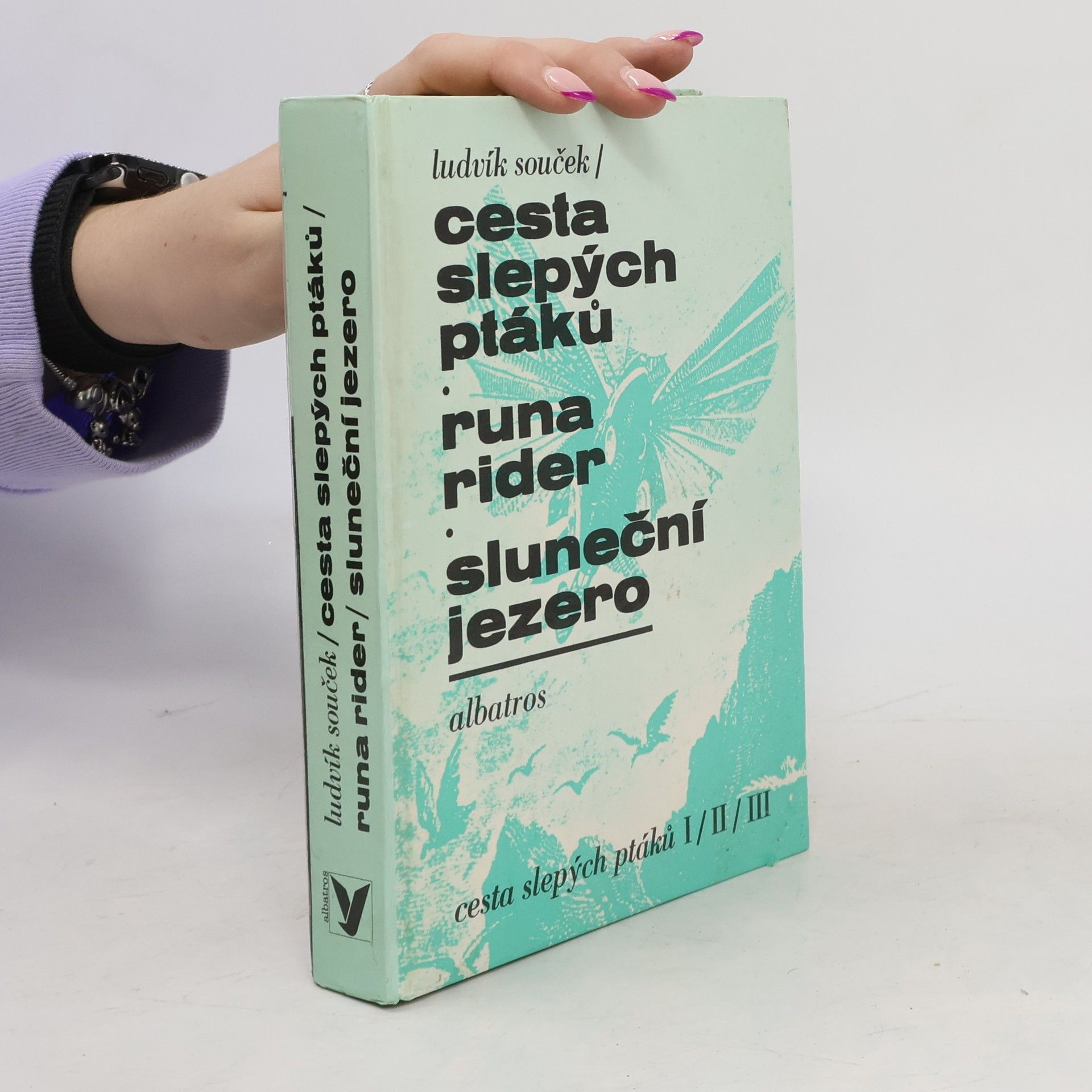 Ludvík Souček Cesta slepých ptáků I-III