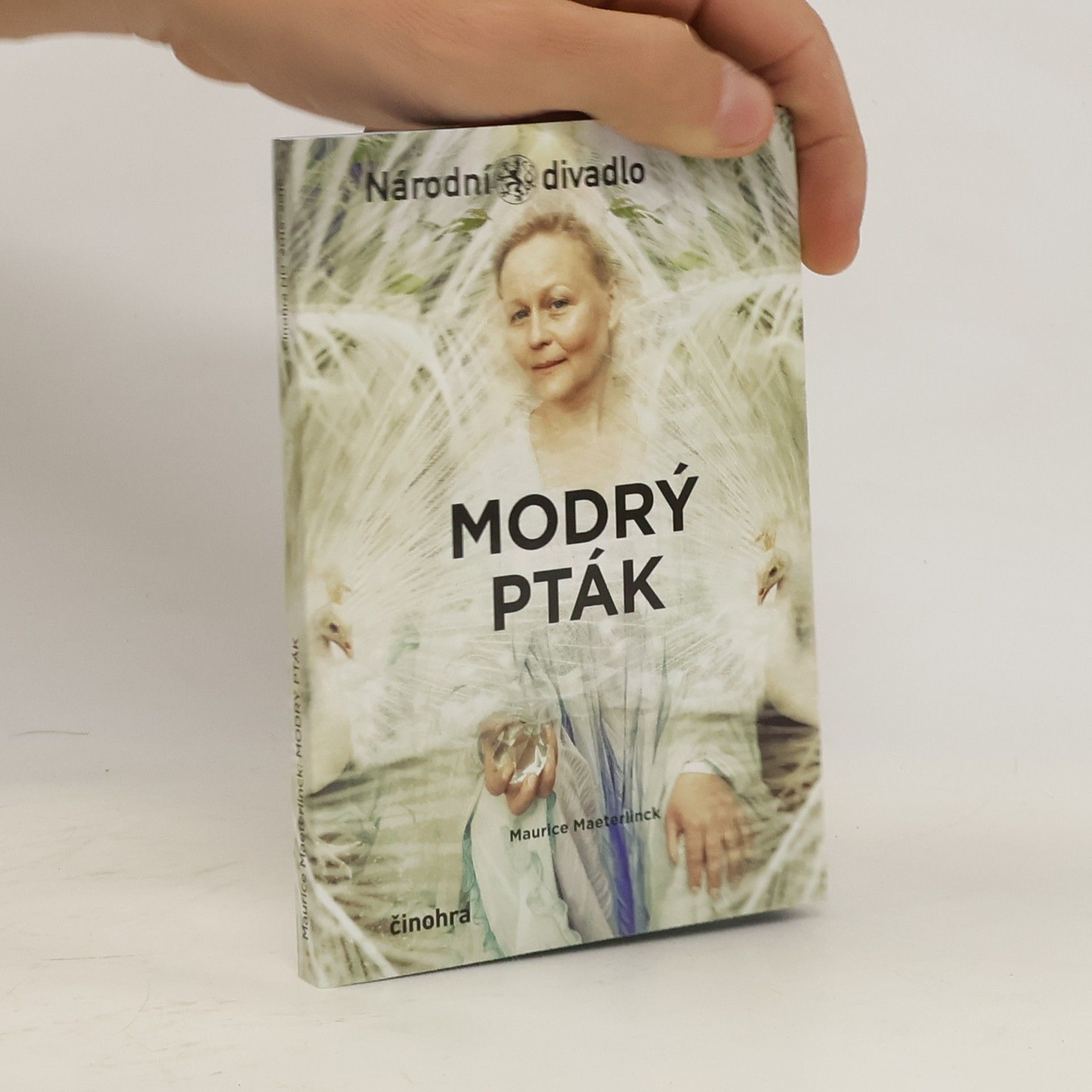 Šárka Belisová Modrý pták