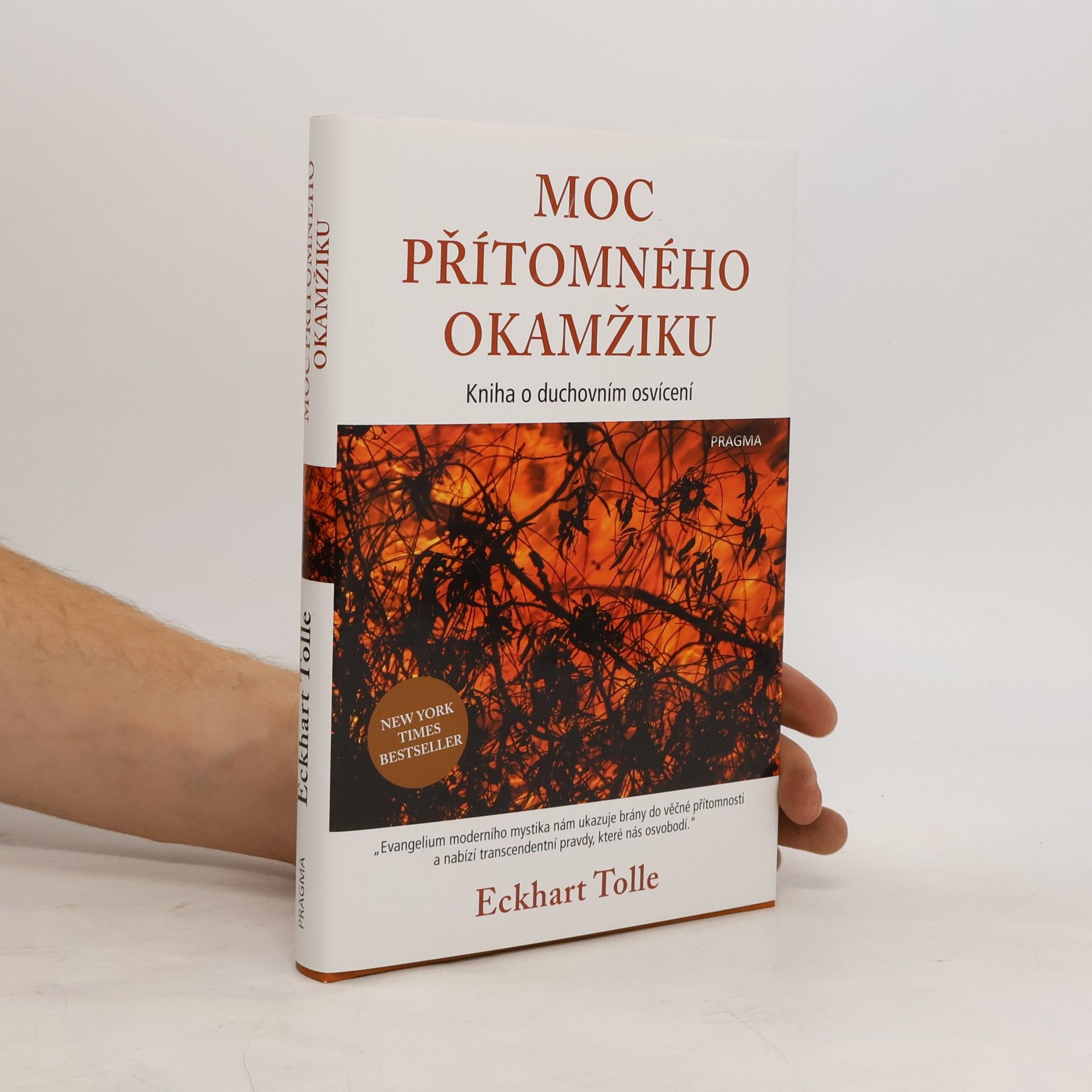 Eckhart Tolle Moc přítomného okamžiku