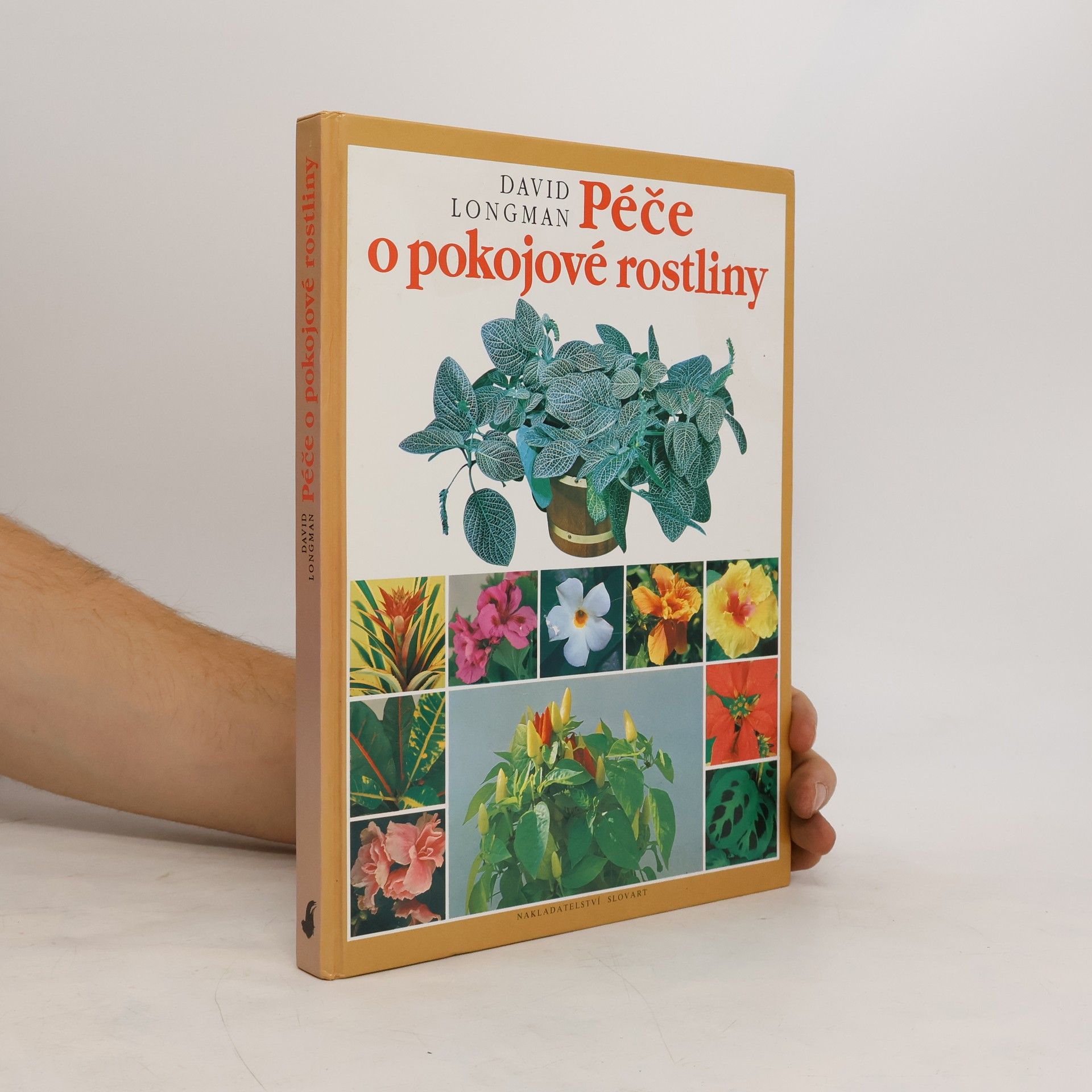 David Longman Péče o pokojové rostliny