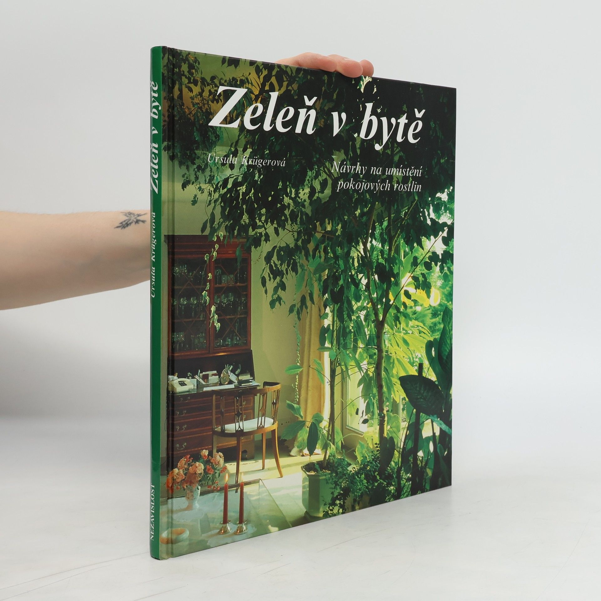 Ursula Krueger Zeleň v bytě. Návrhy na umístění pokojových rostlin