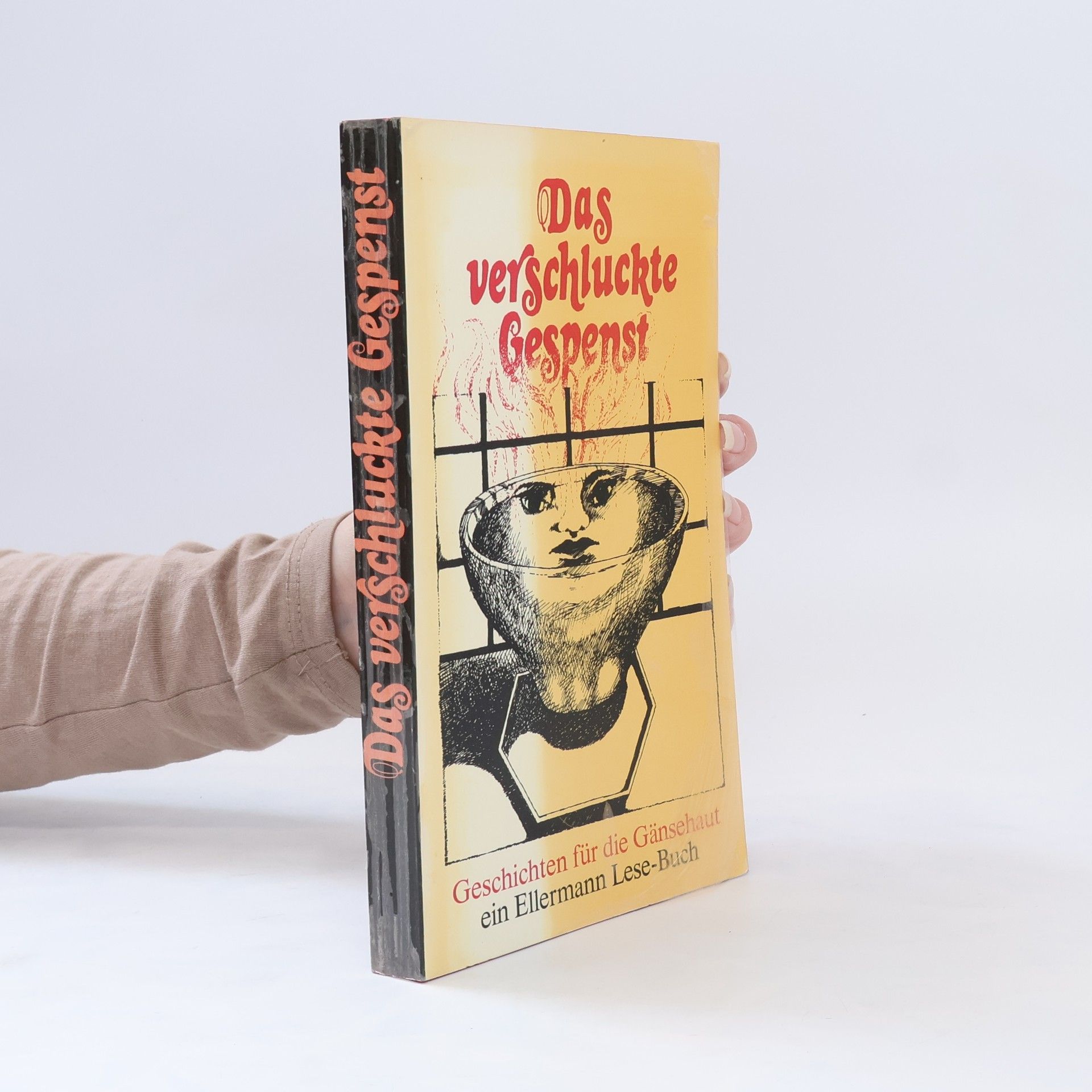 Klaus Seehafer Das verschluckte Gespenst